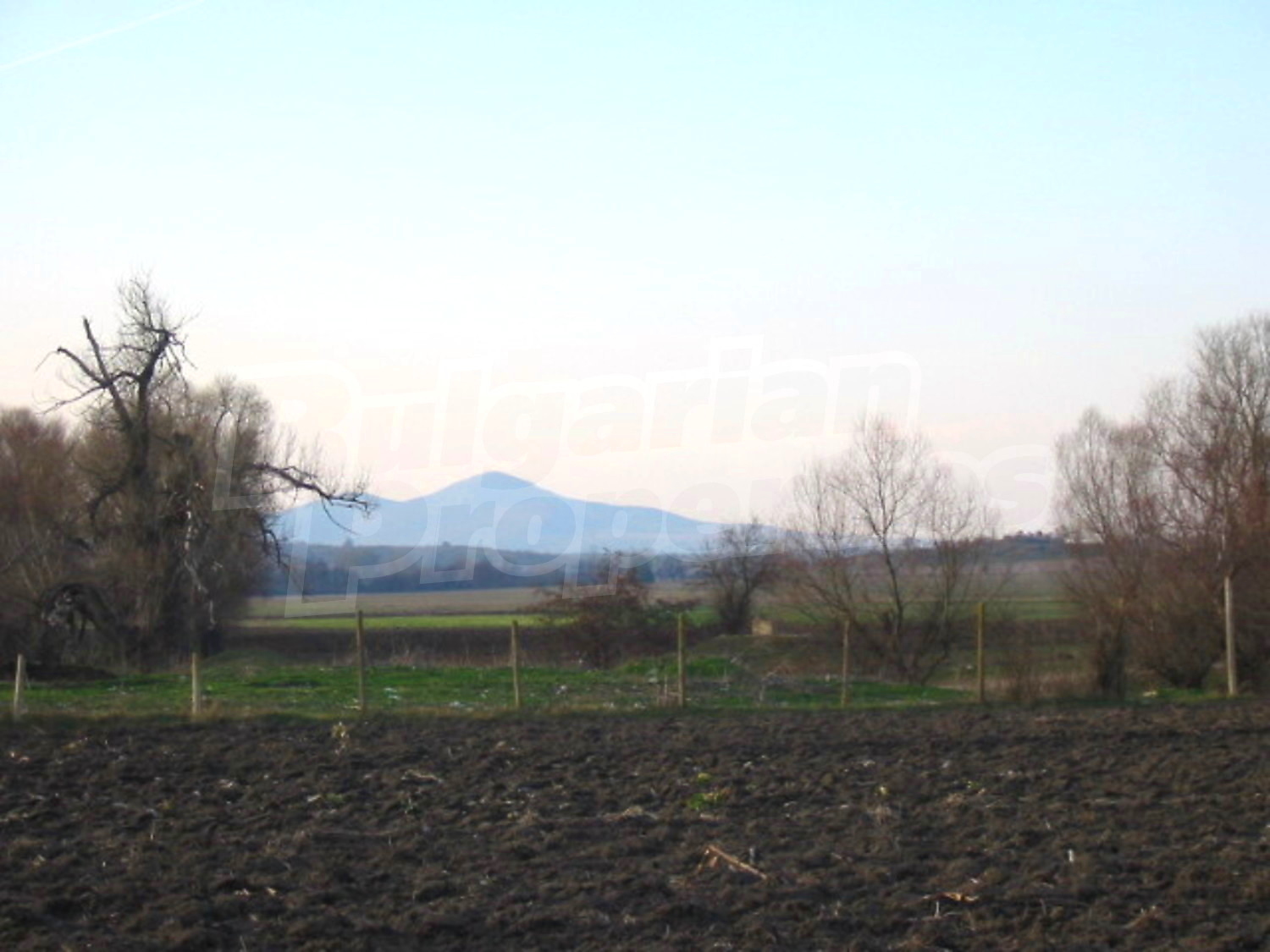 Gallery Picture 10
