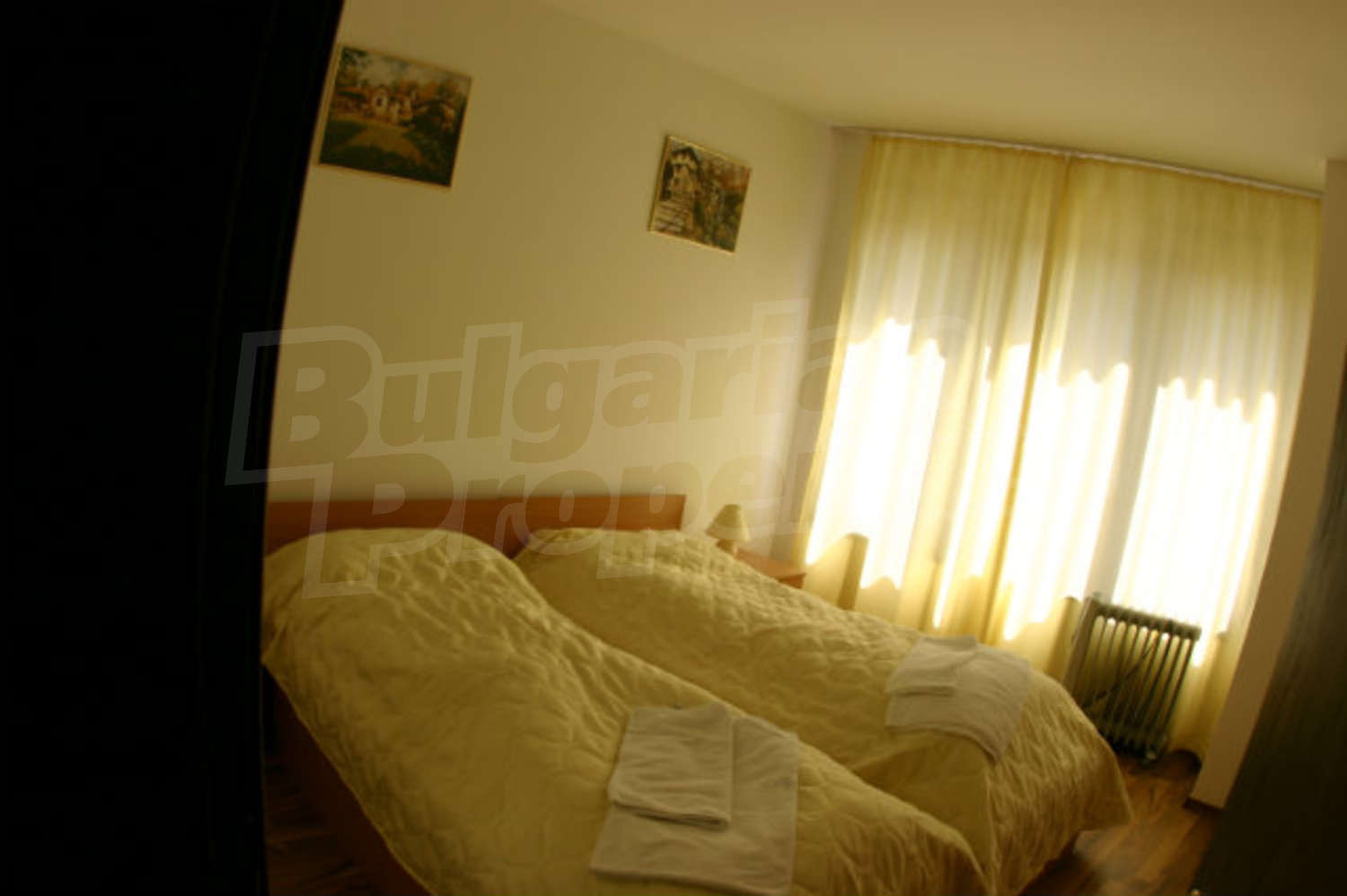 Gallery Picture 11