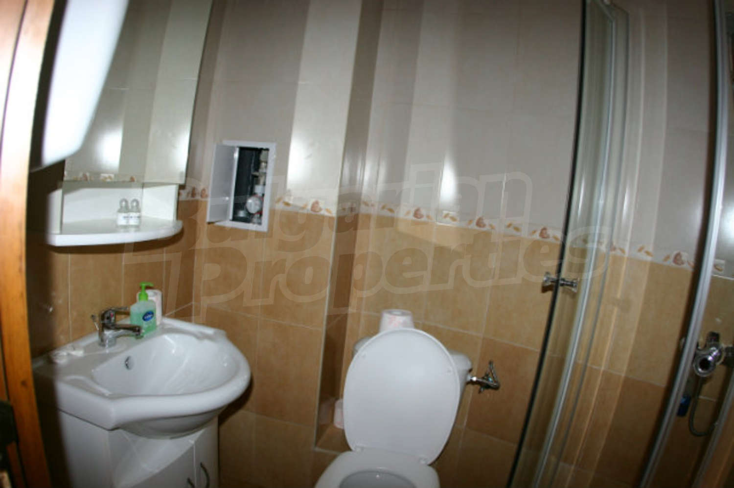 Gallery Picture 5