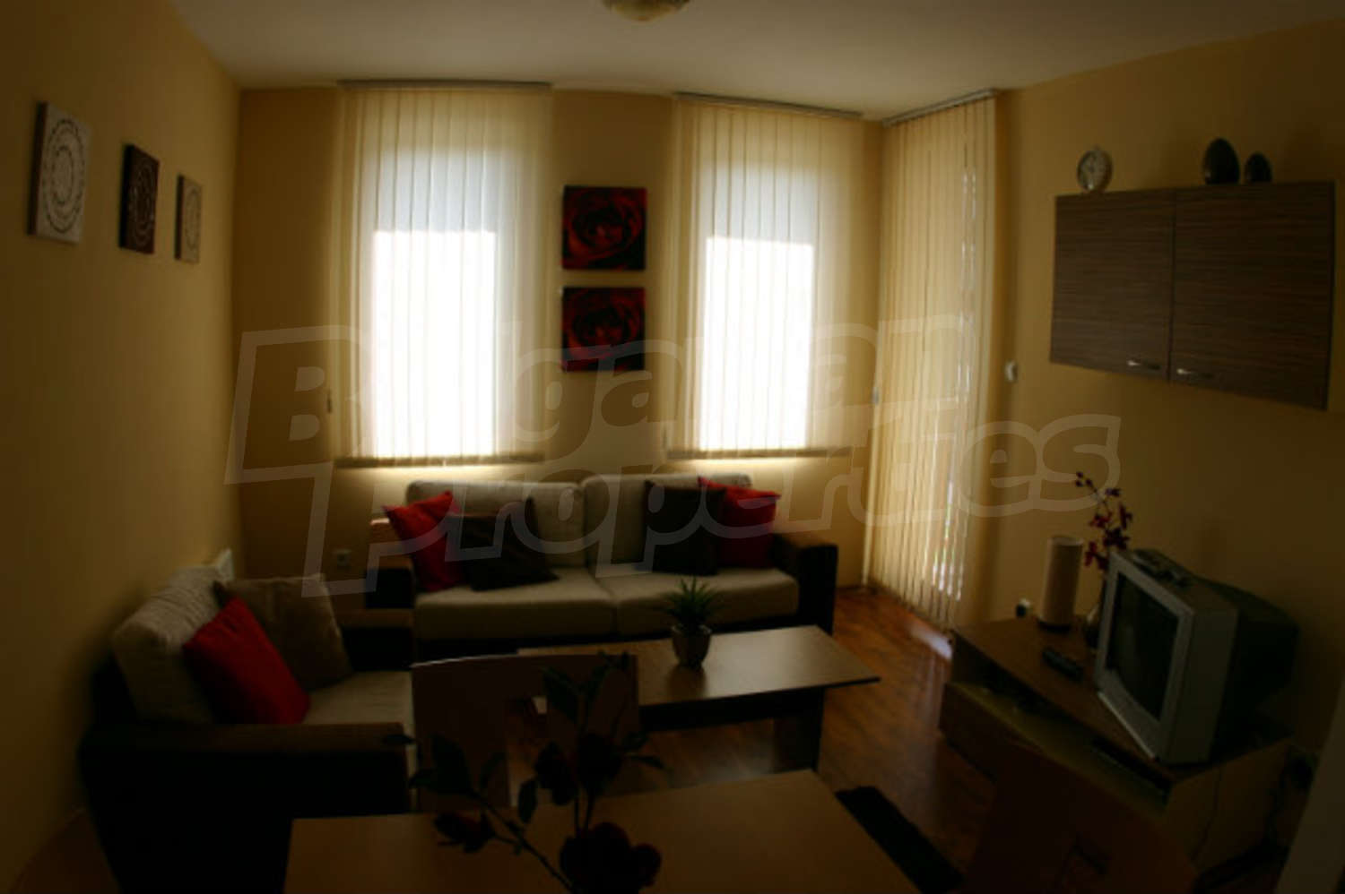 Gallery Picture 11