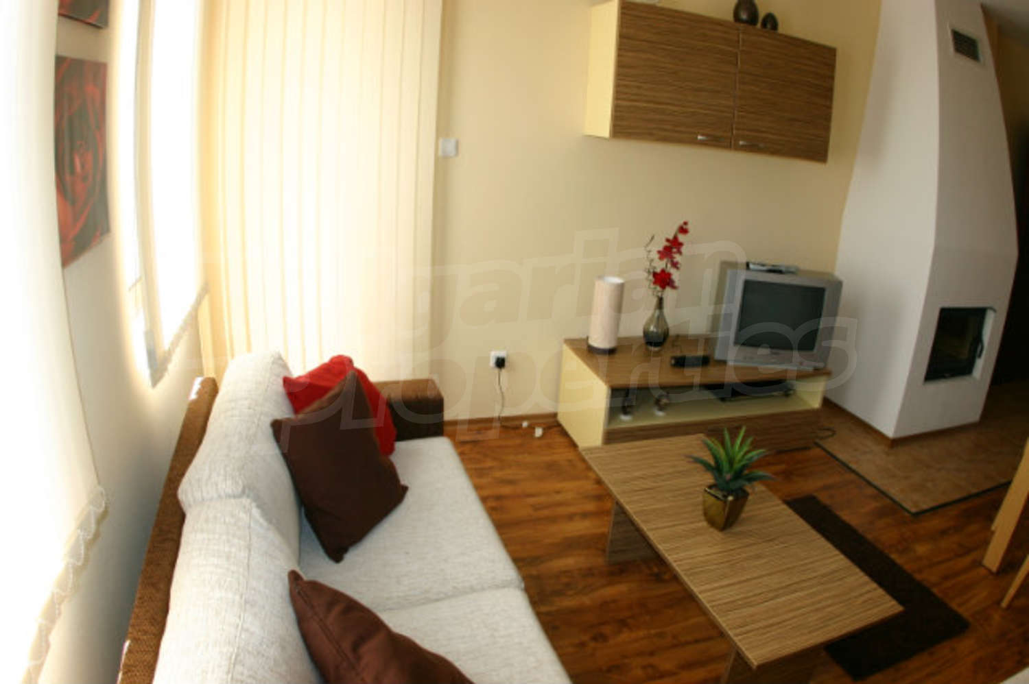 Gallery Picture 13