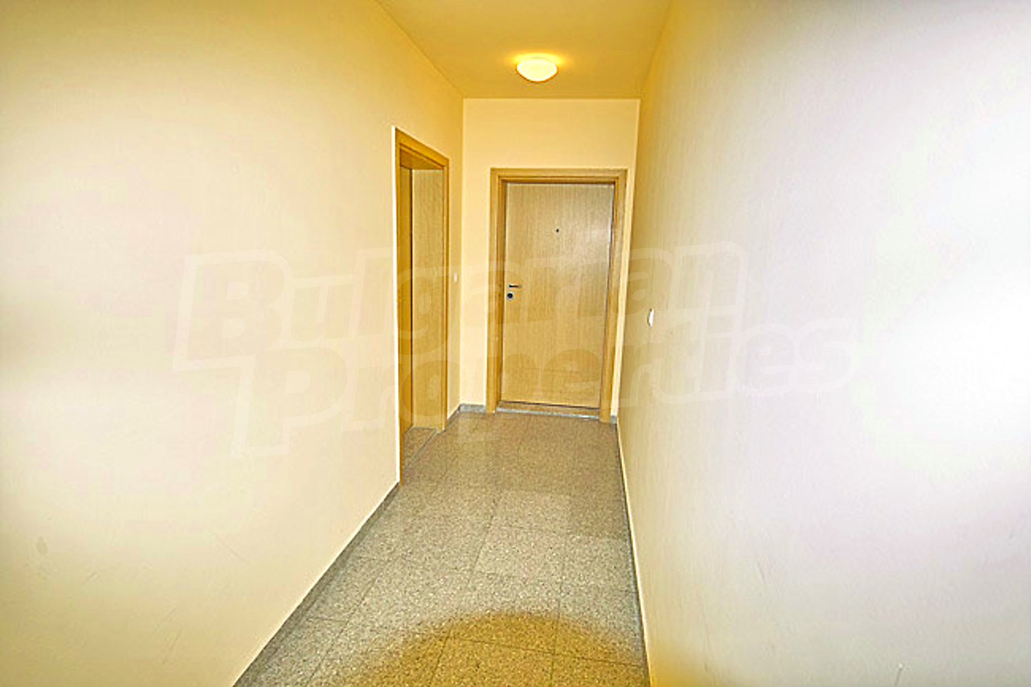 Gallery Picture 26