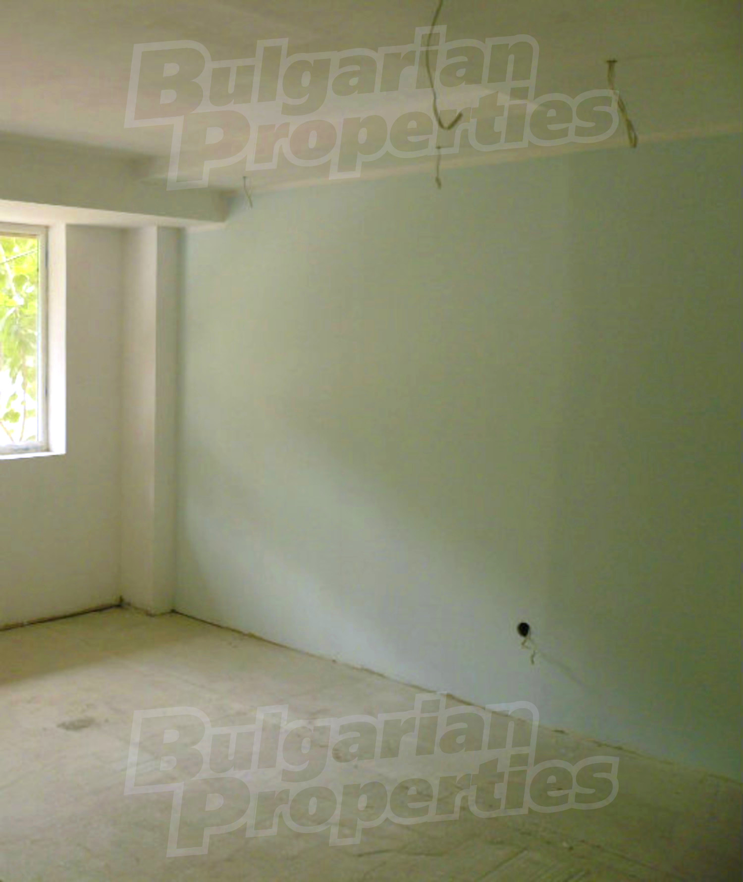 Gallery Picture 2