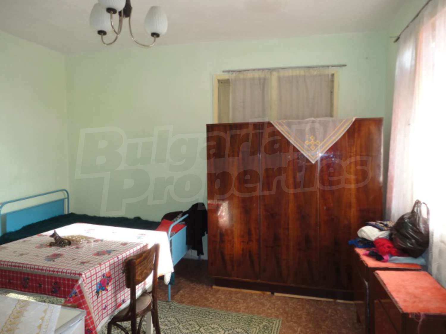 Gallery Picture 14