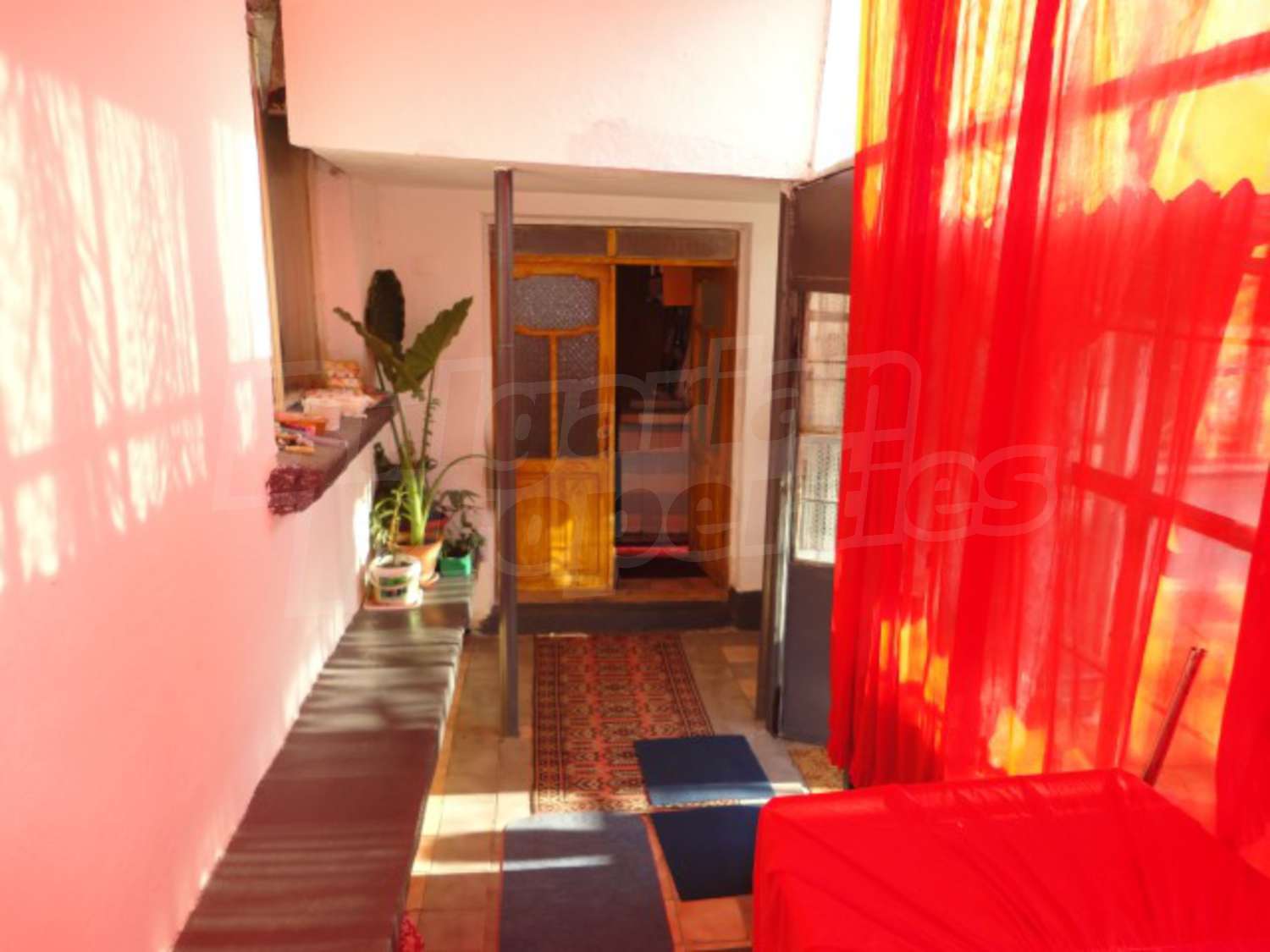 Gallery Picture 19