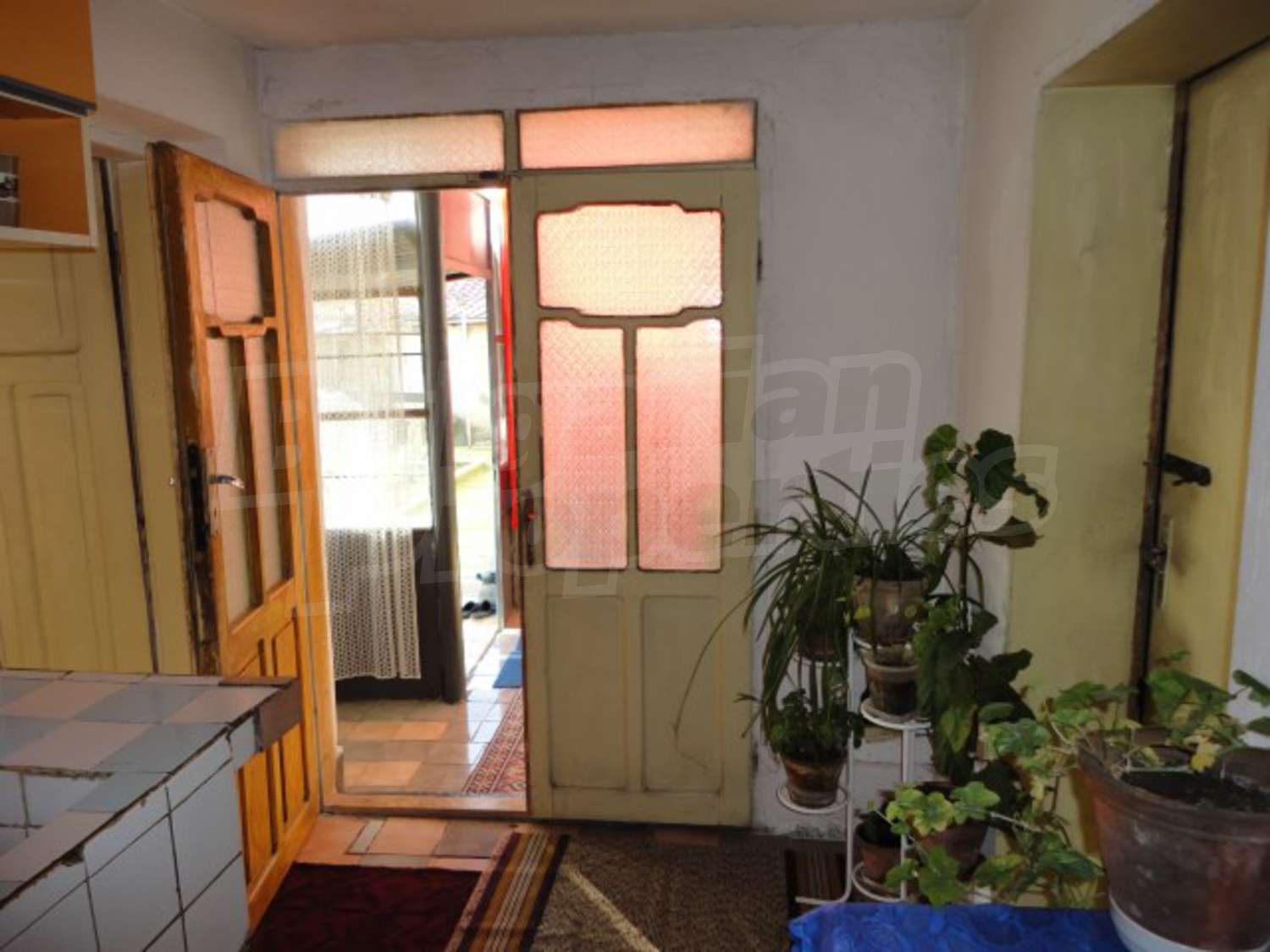 Gallery Picture 20