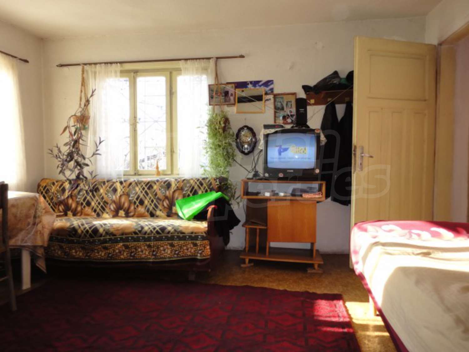 Gallery Picture 26