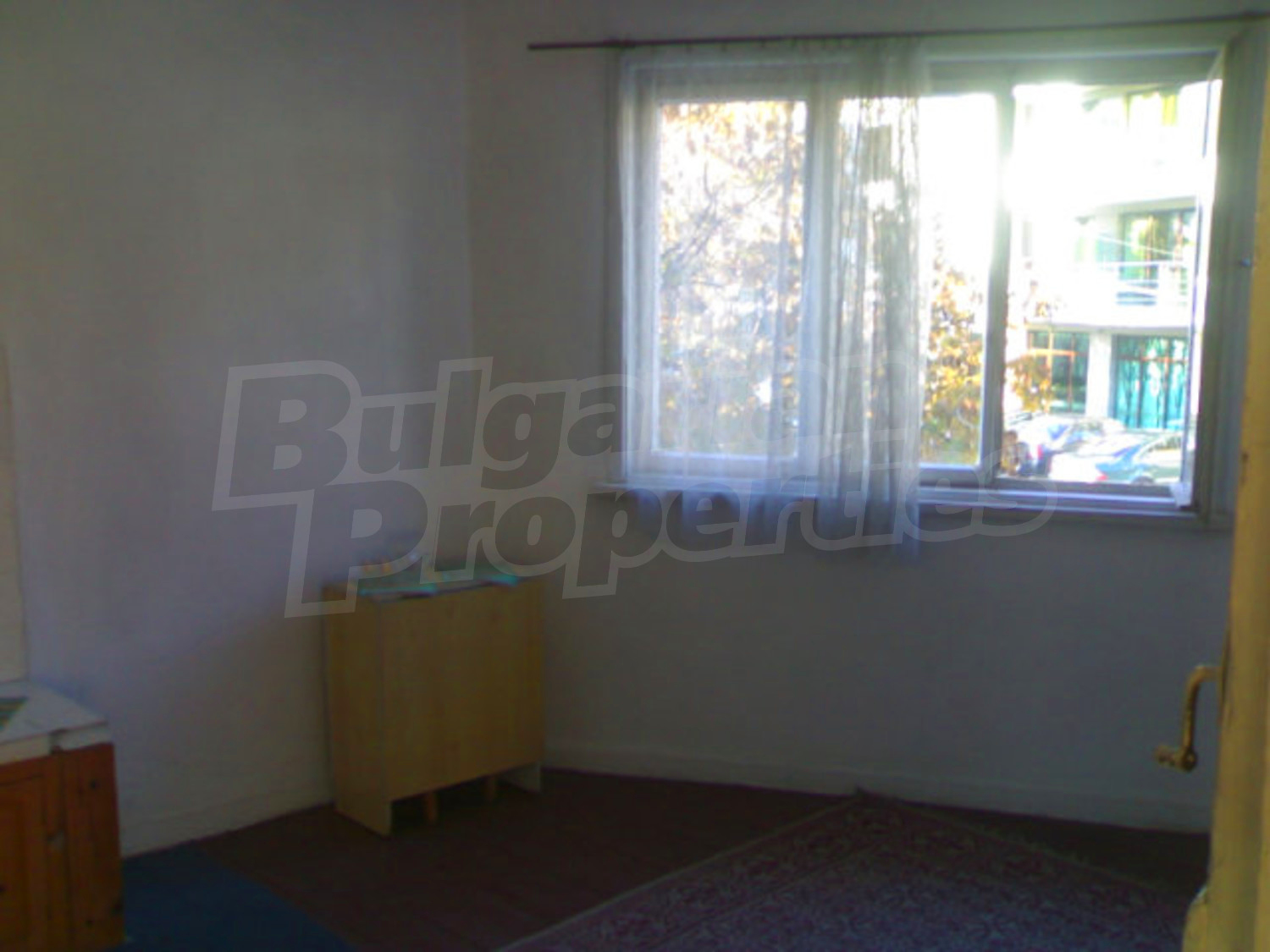 Gallery Picture 5