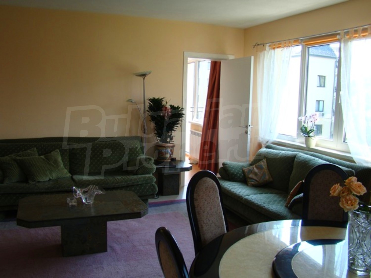Gallery Picture 12