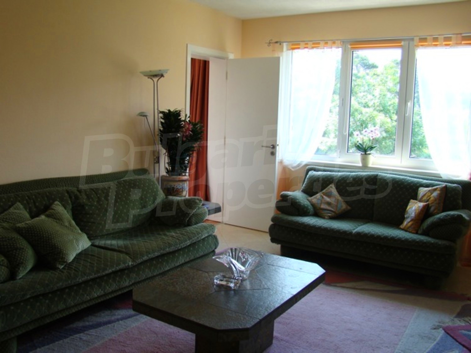 Gallery Picture 13