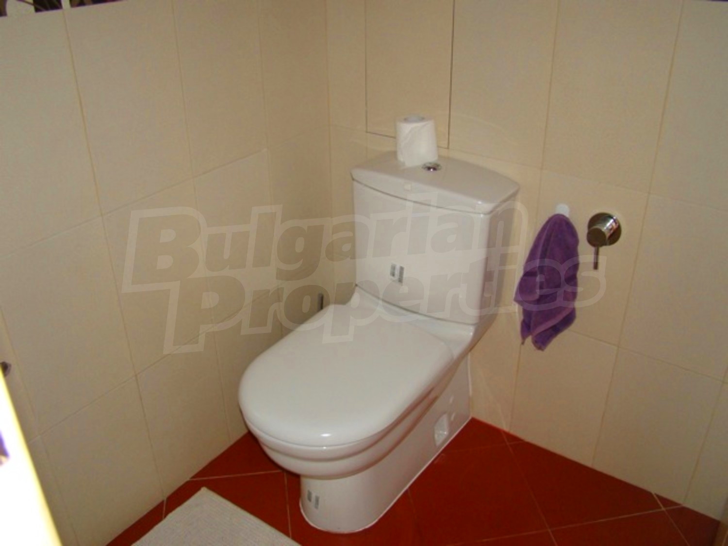 Gallery Picture 24