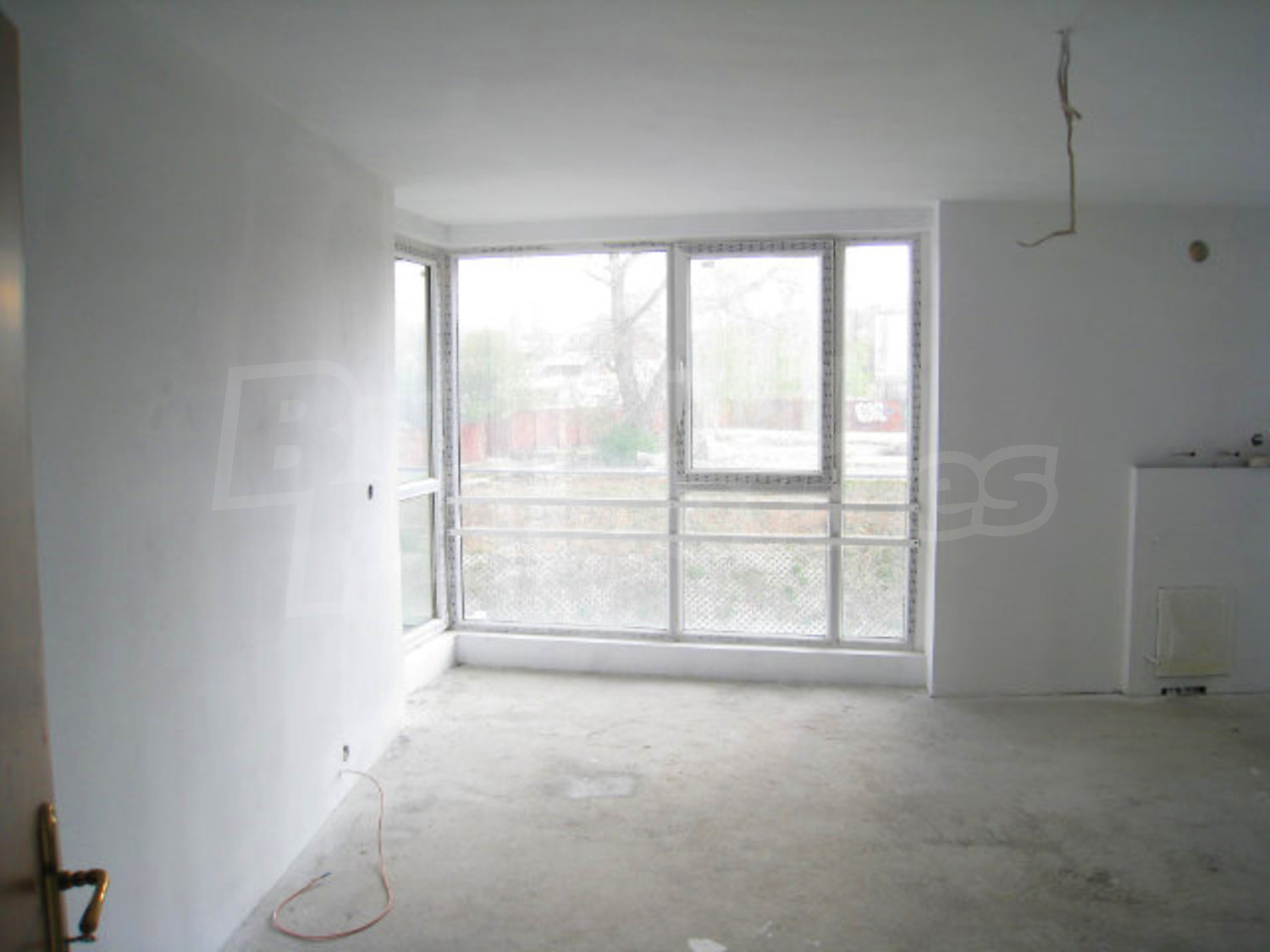 Gallery Picture 14