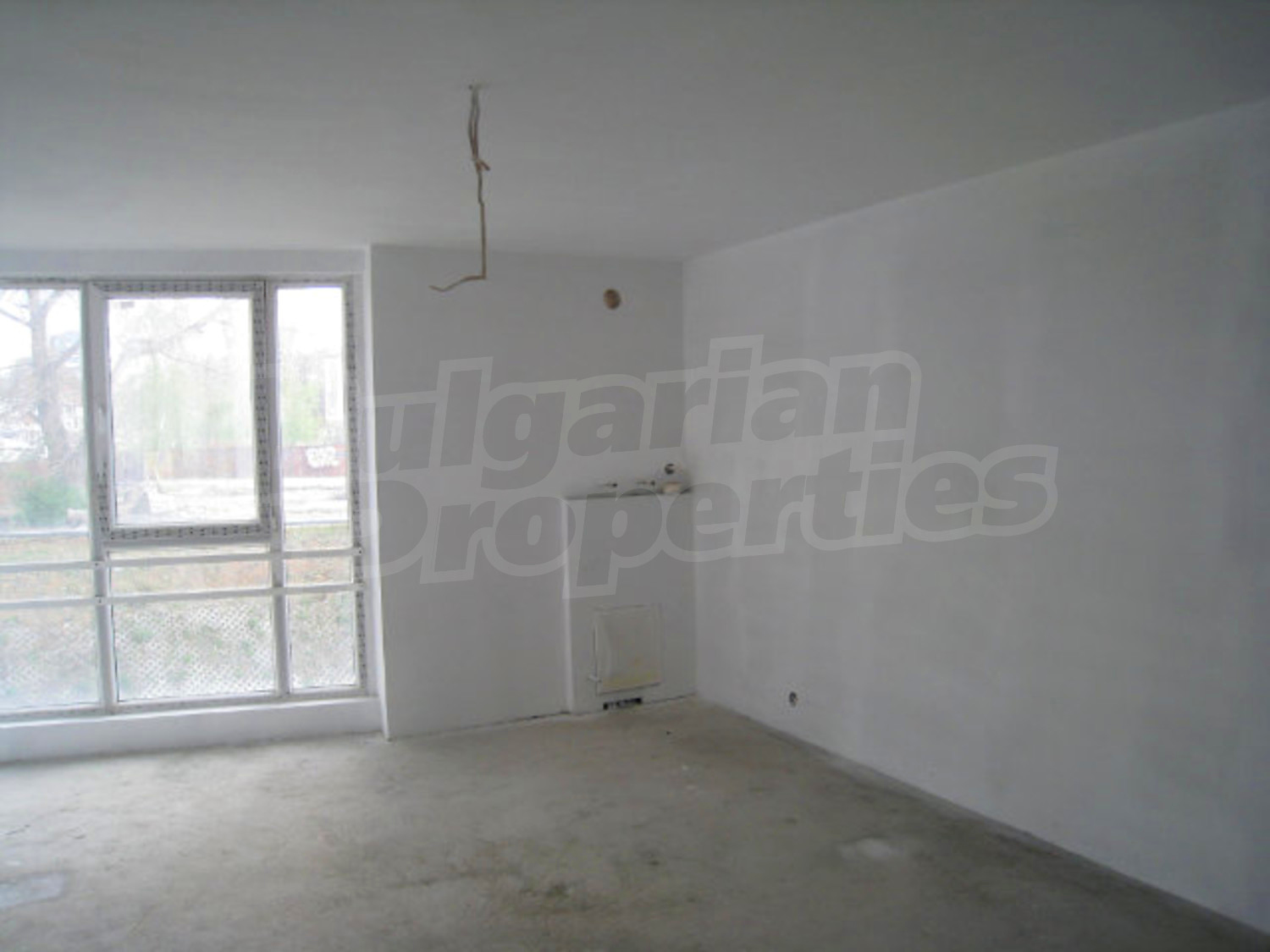 Gallery Picture 15