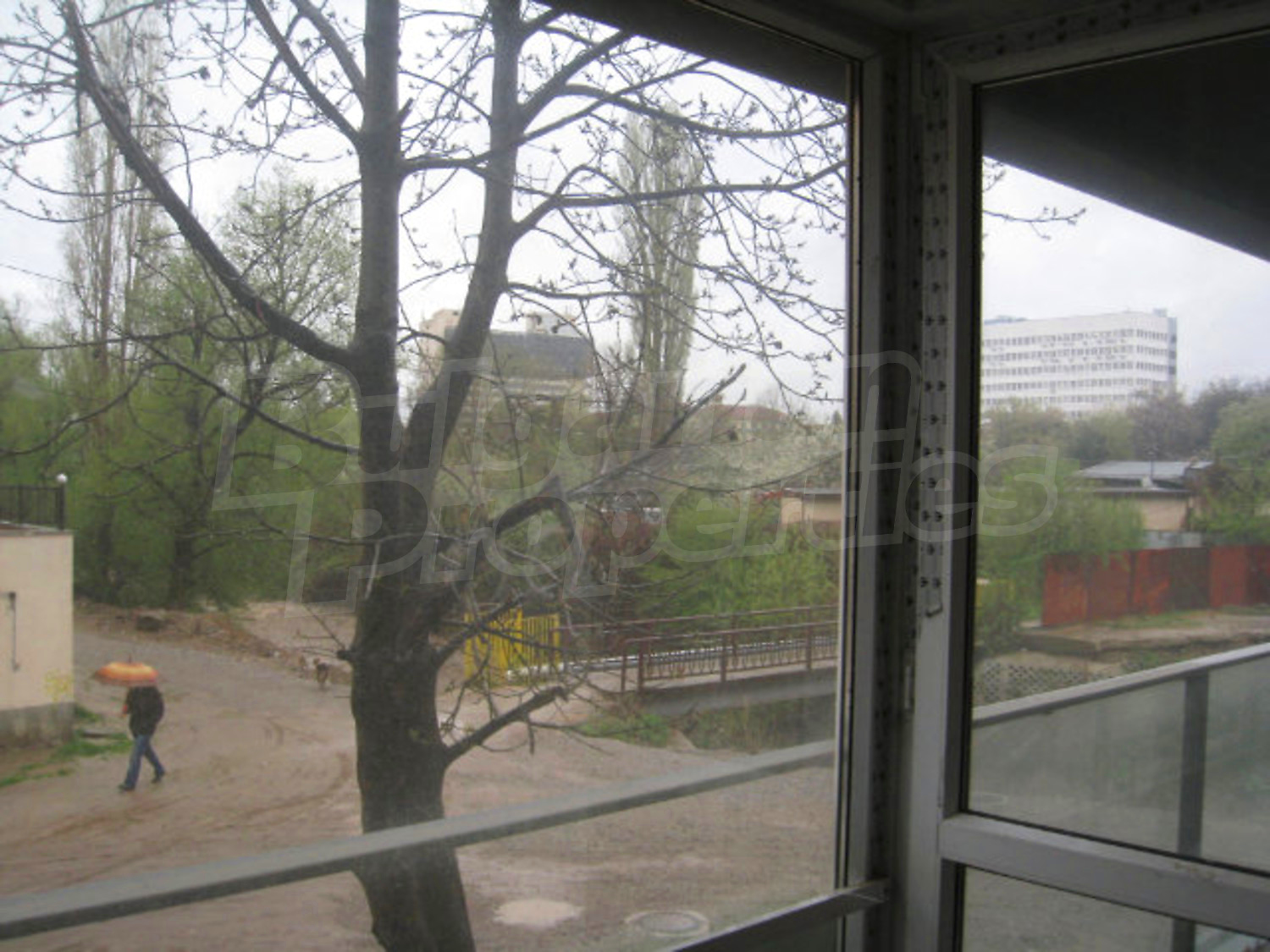 Gallery Picture 17