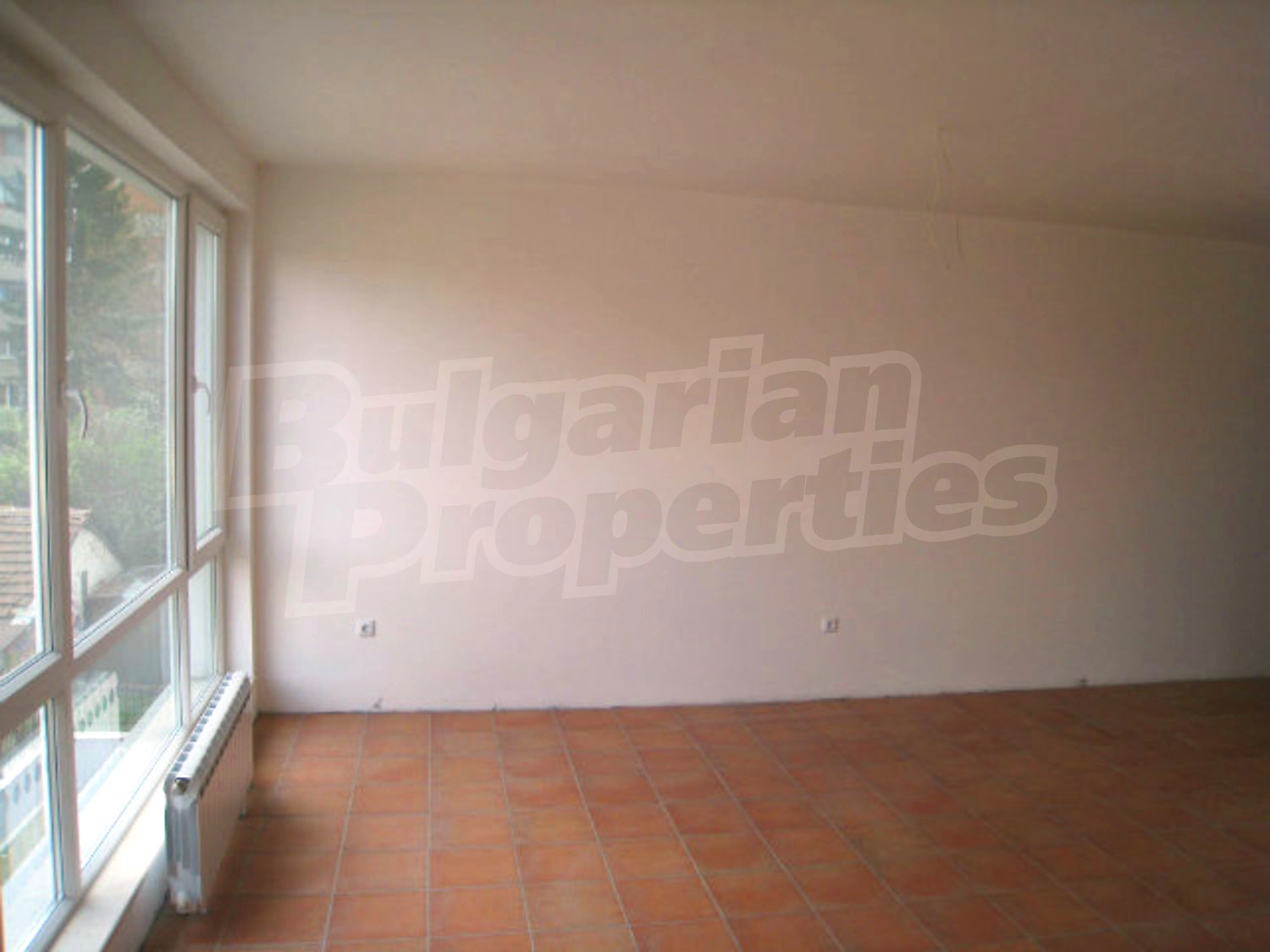 Gallery Picture 5