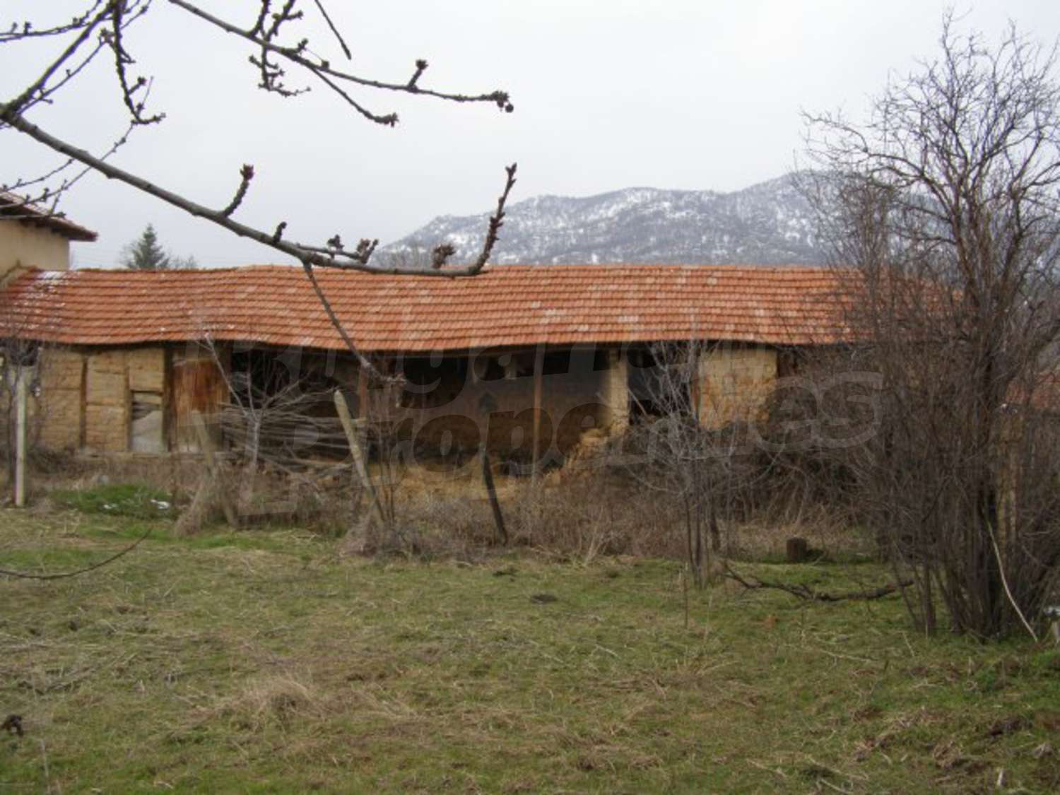 Gallery Picture 19