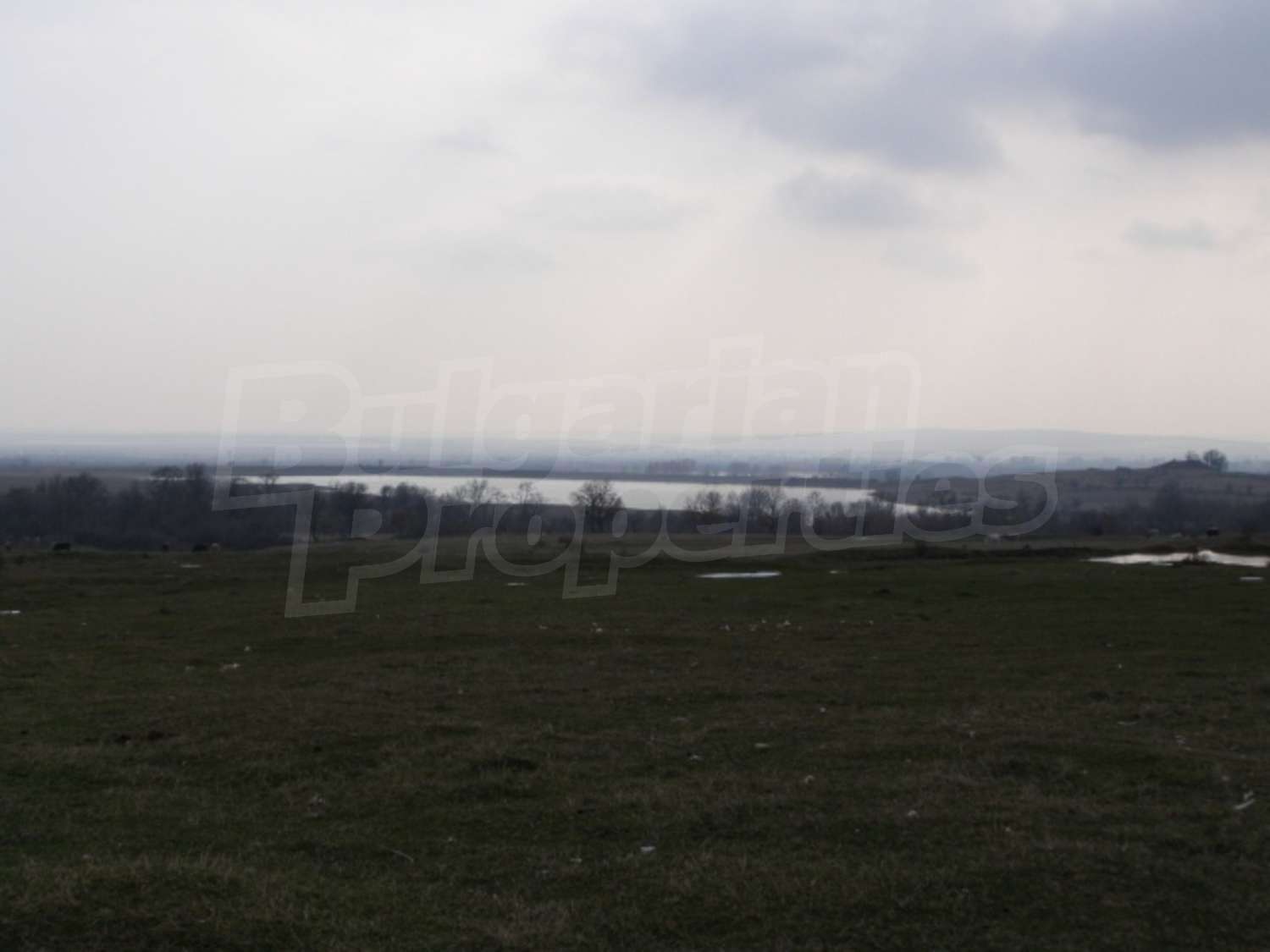 Gallery Picture 23