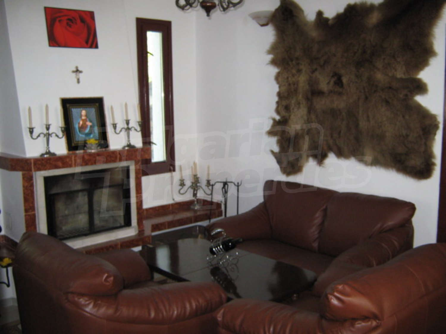 Gallery Picture 6