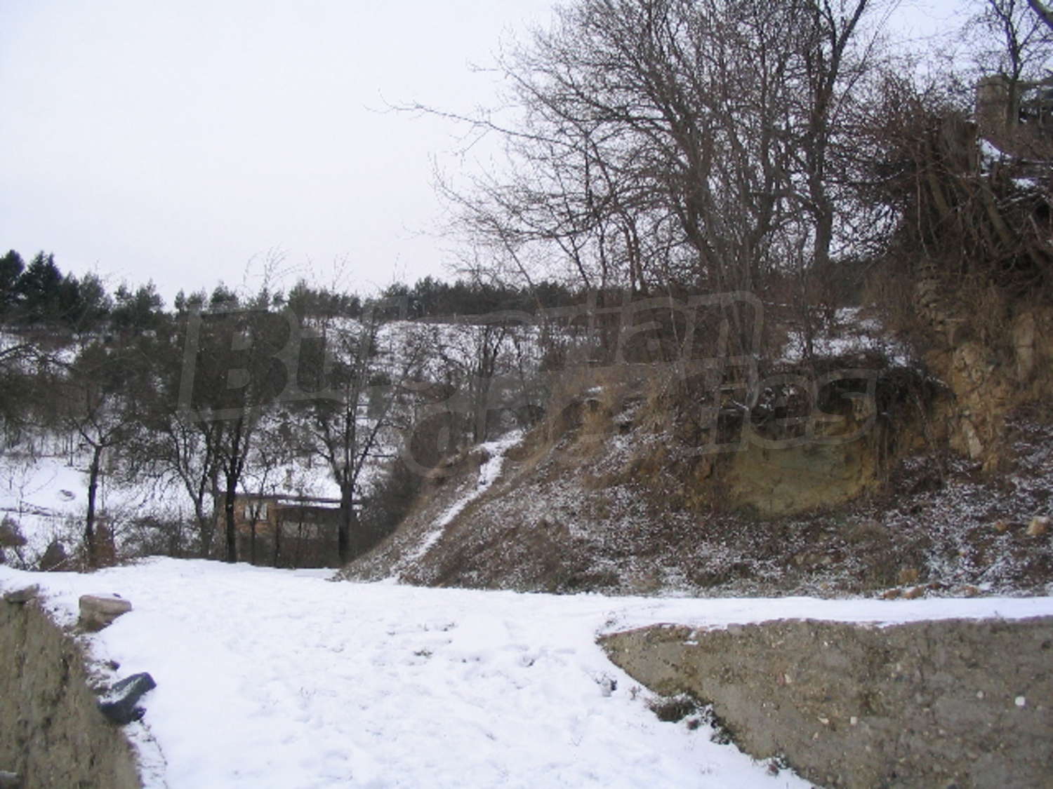 Gallery Picture 12