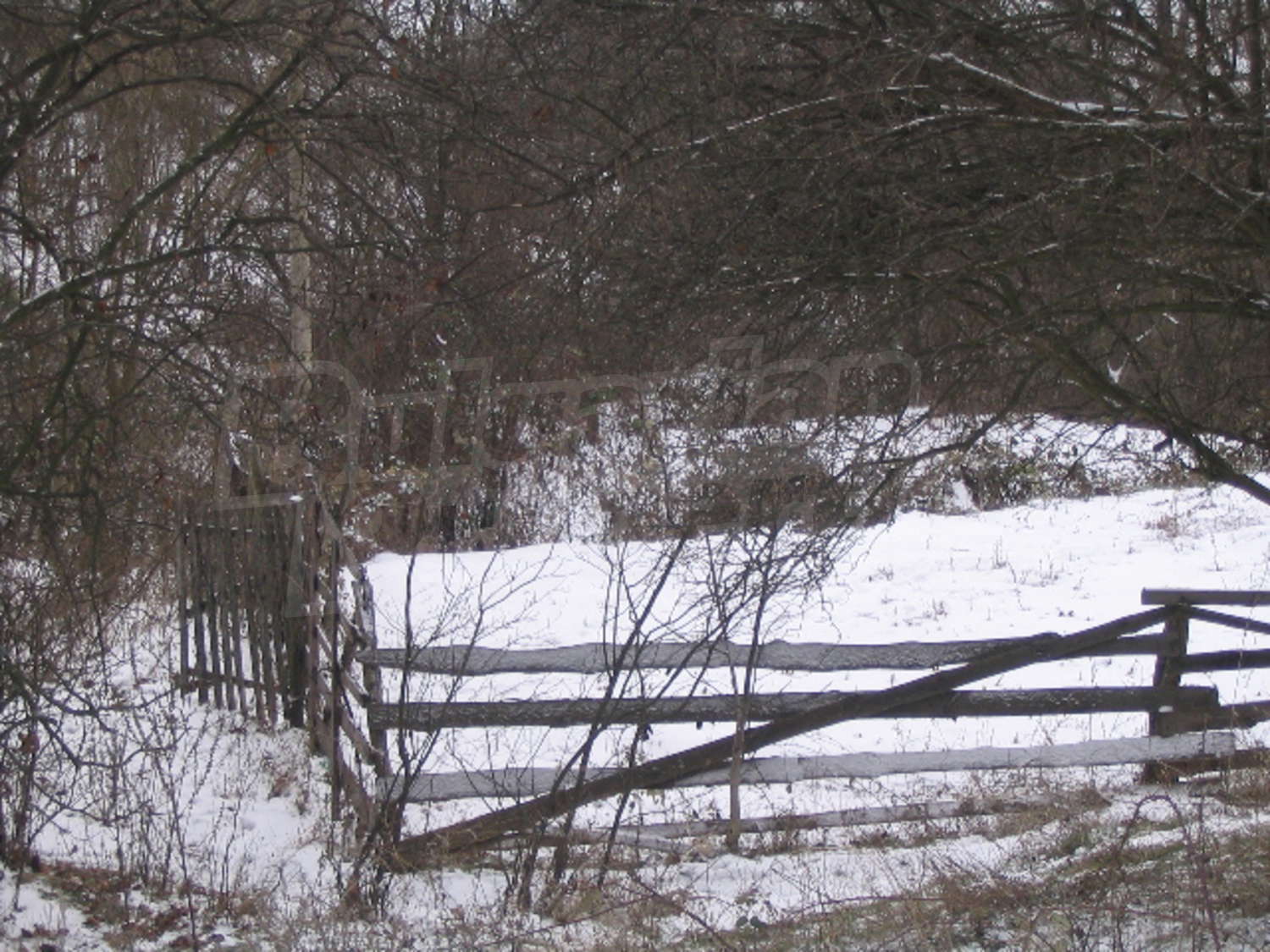 Gallery Picture 15