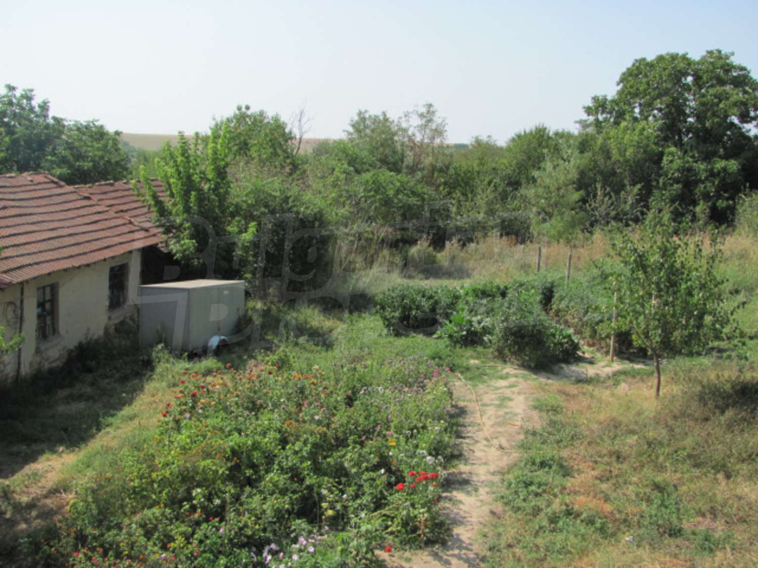 House for sale near Pleven, Danube River, Bulgaria. House for sale nar