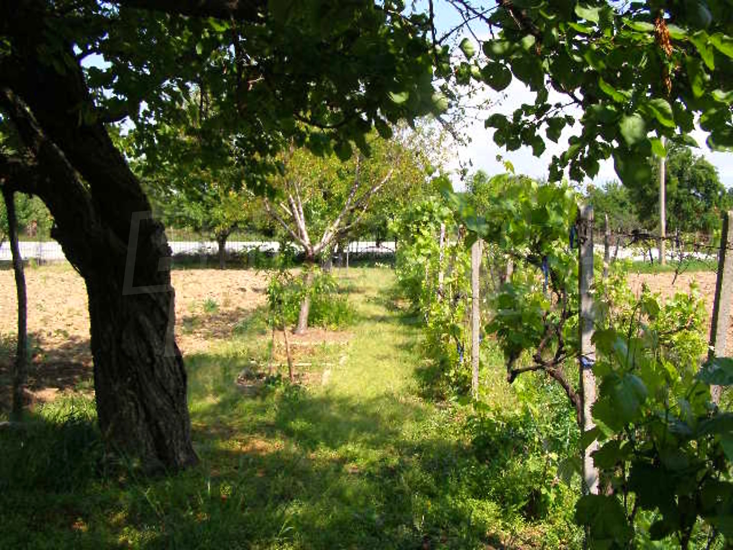 Gallery Picture 10
