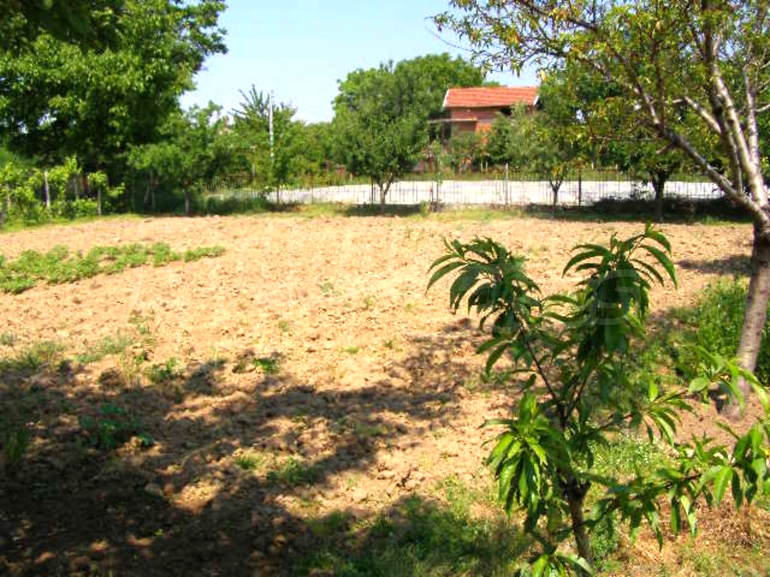Gallery Picture 14