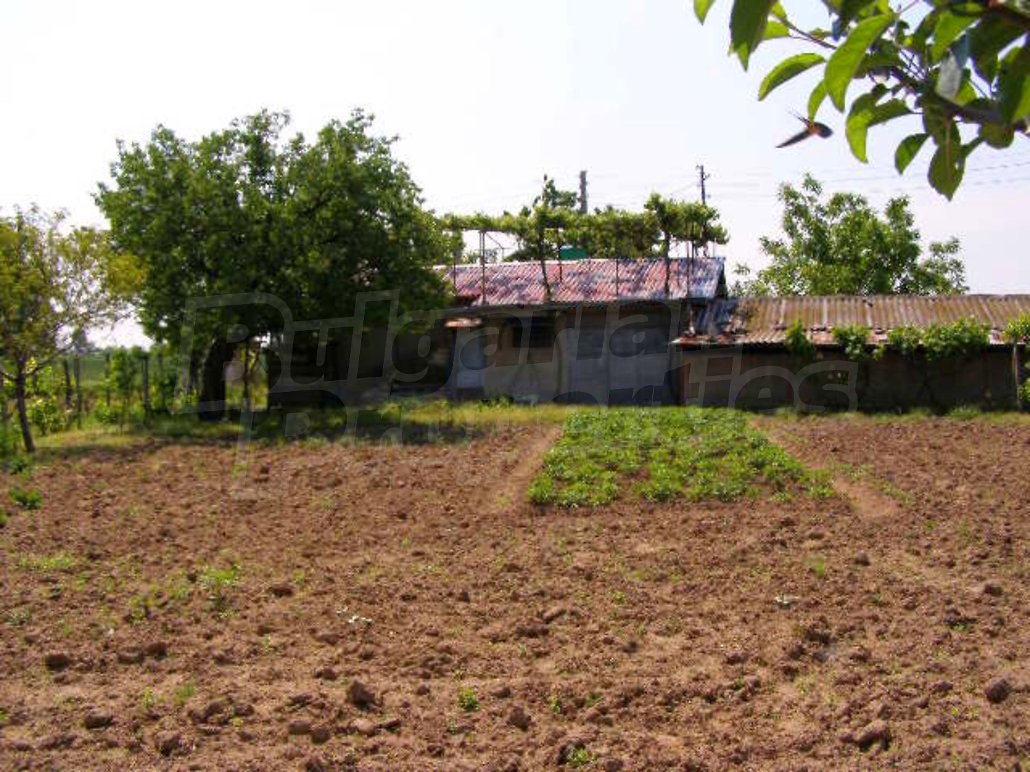 Gallery Picture 17