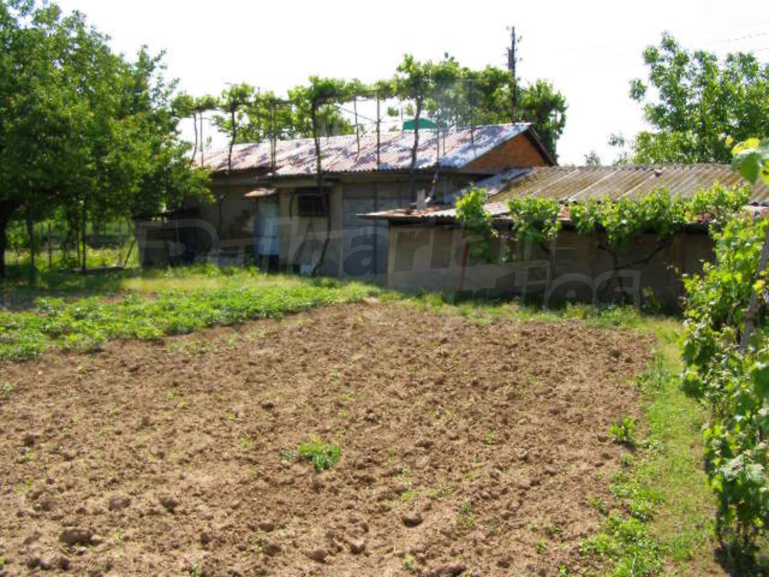 Gallery Picture 18