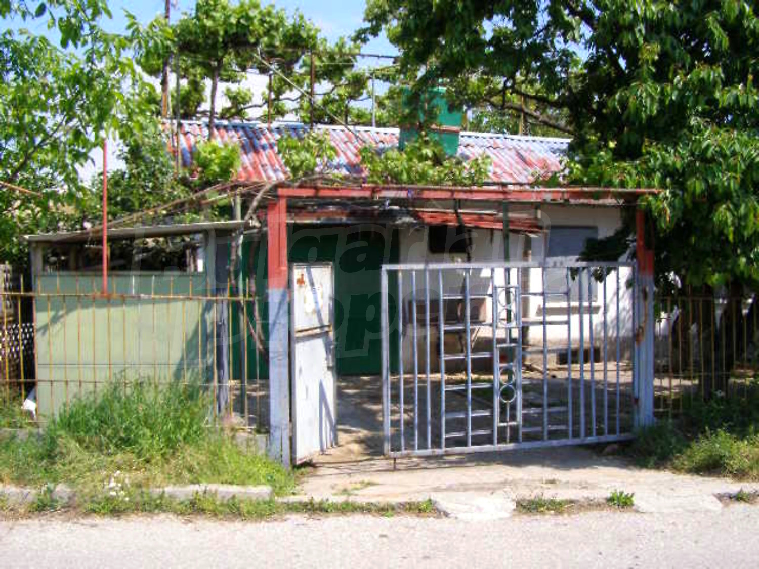Gallery Picture 19