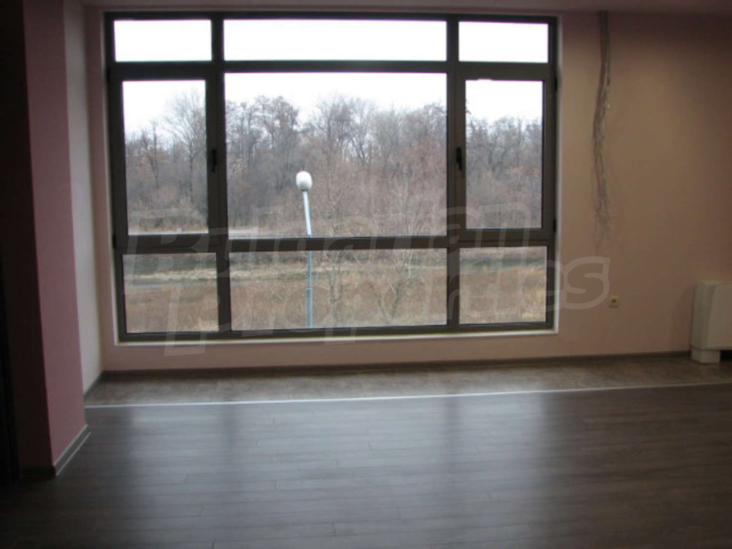 Gallery Picture 11