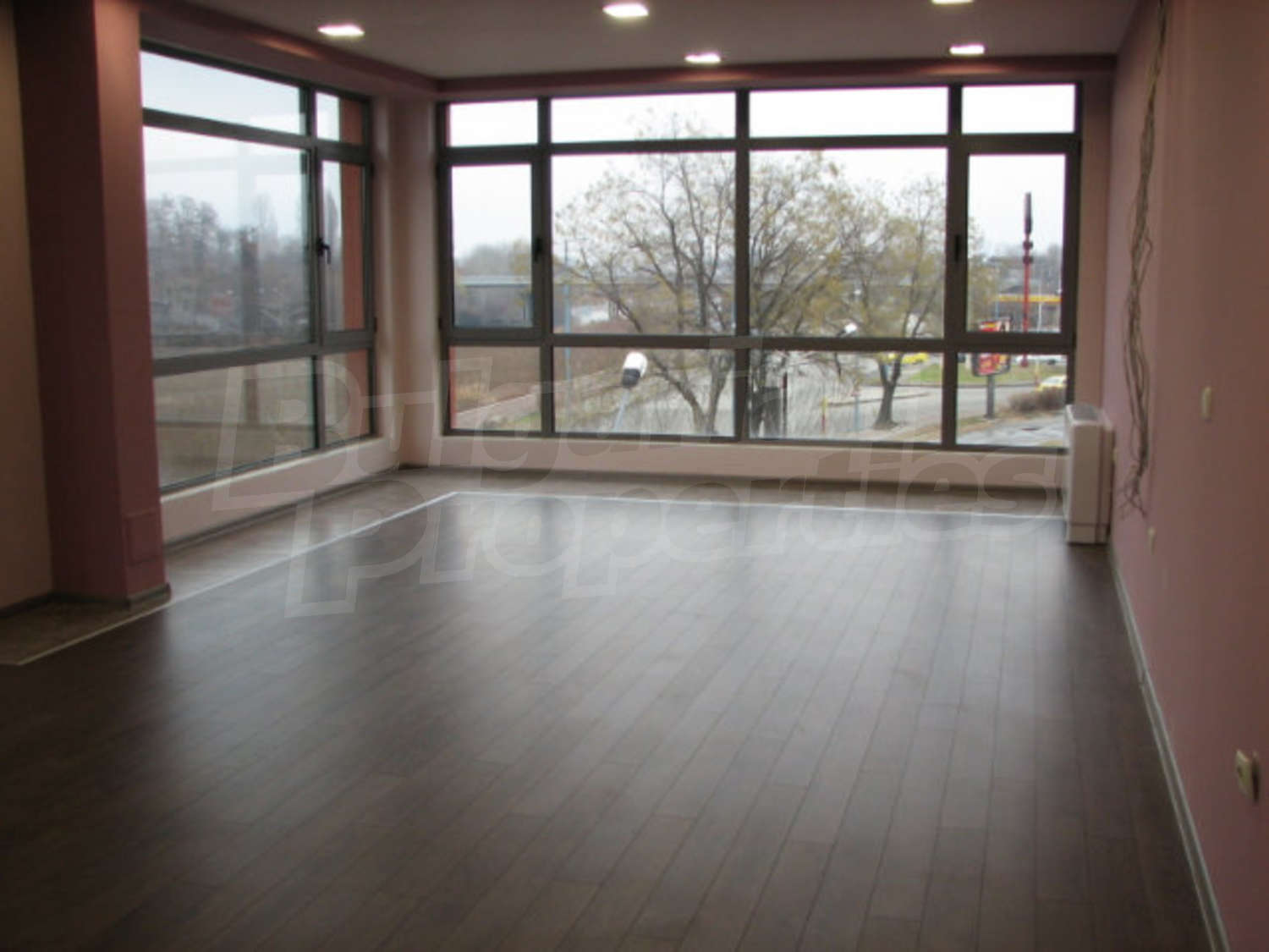 Gallery Picture 13