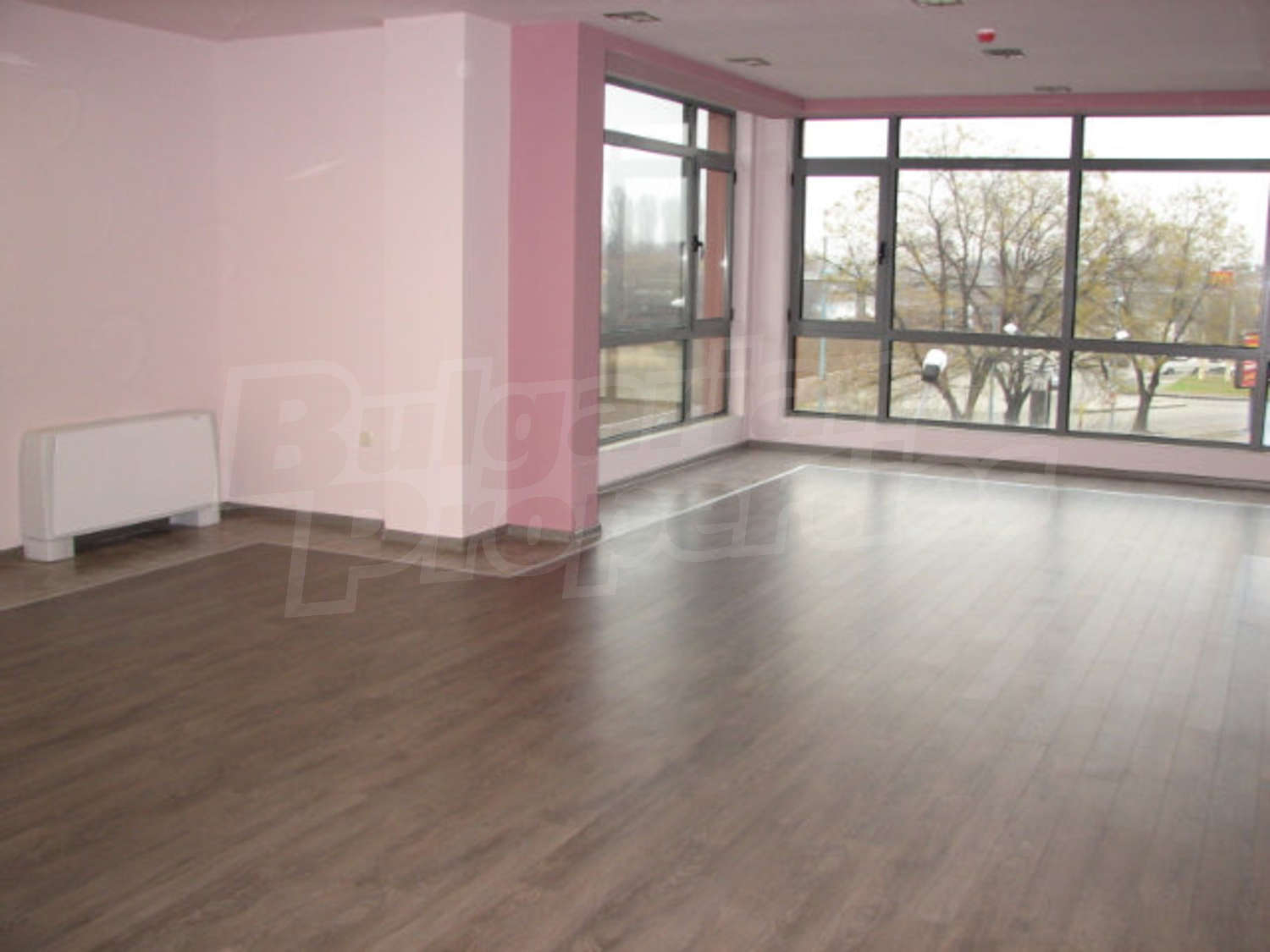 Gallery Picture 19