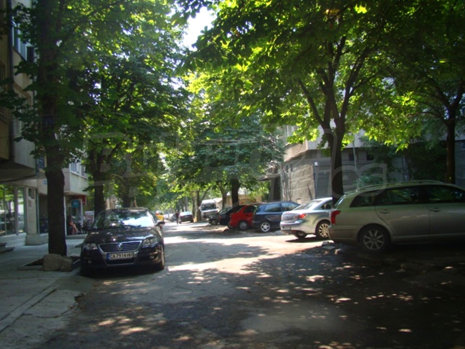 Gallery Picture 16
