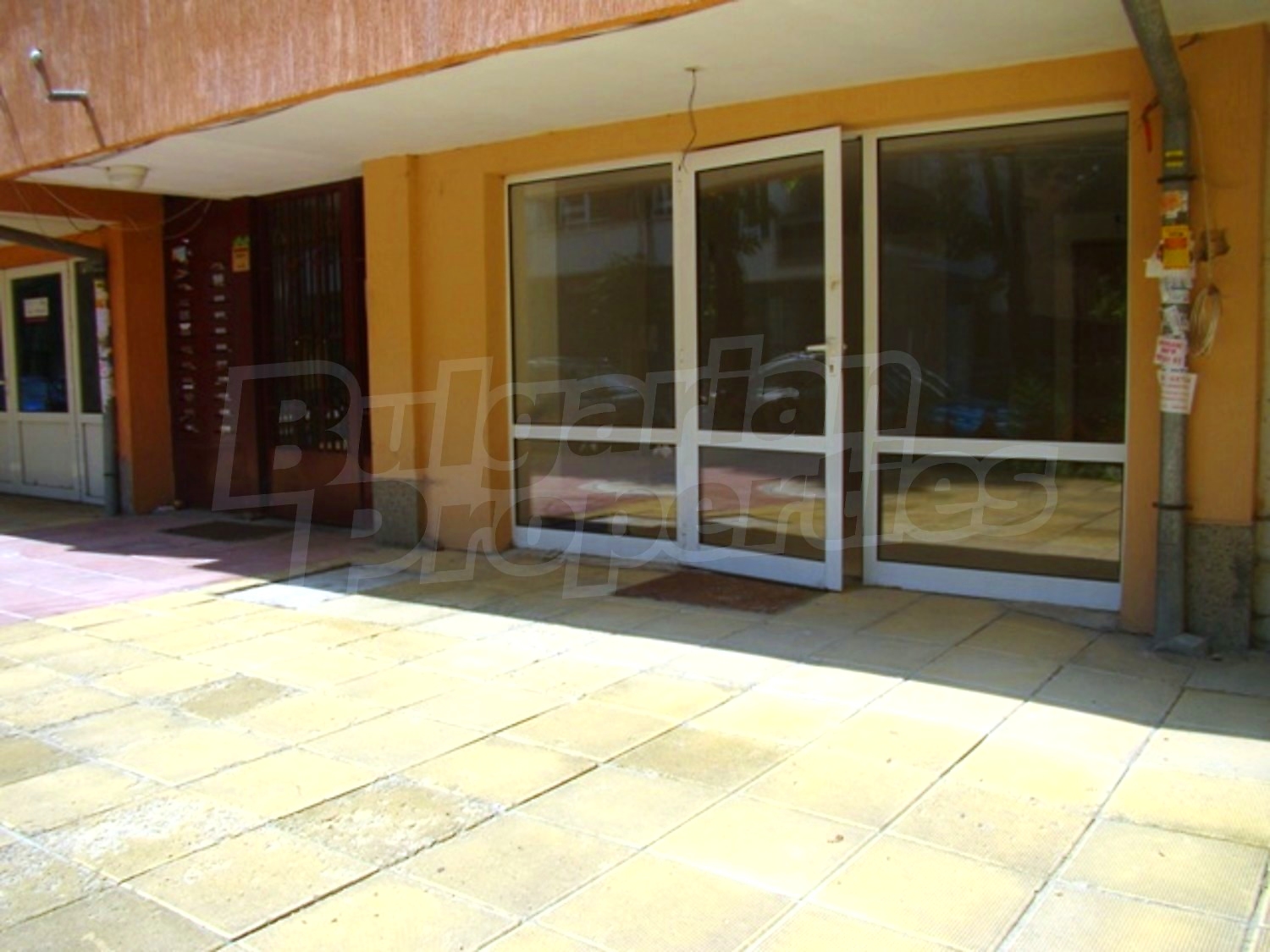 Gallery Picture 6