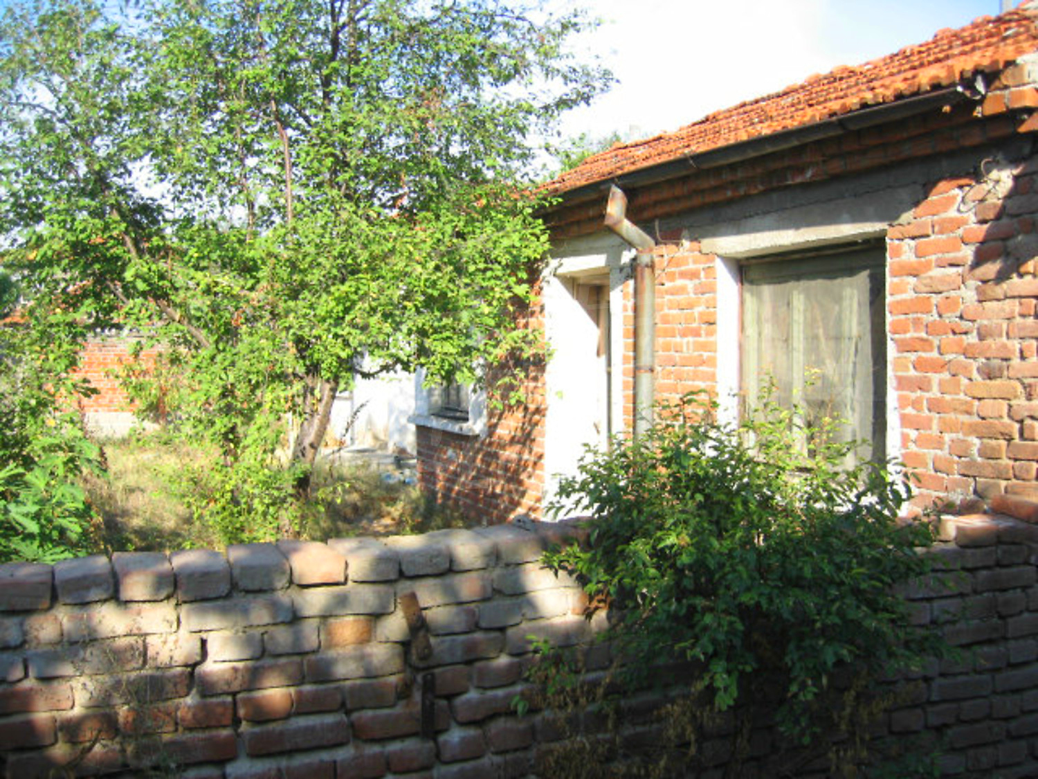 Gallery Picture 17