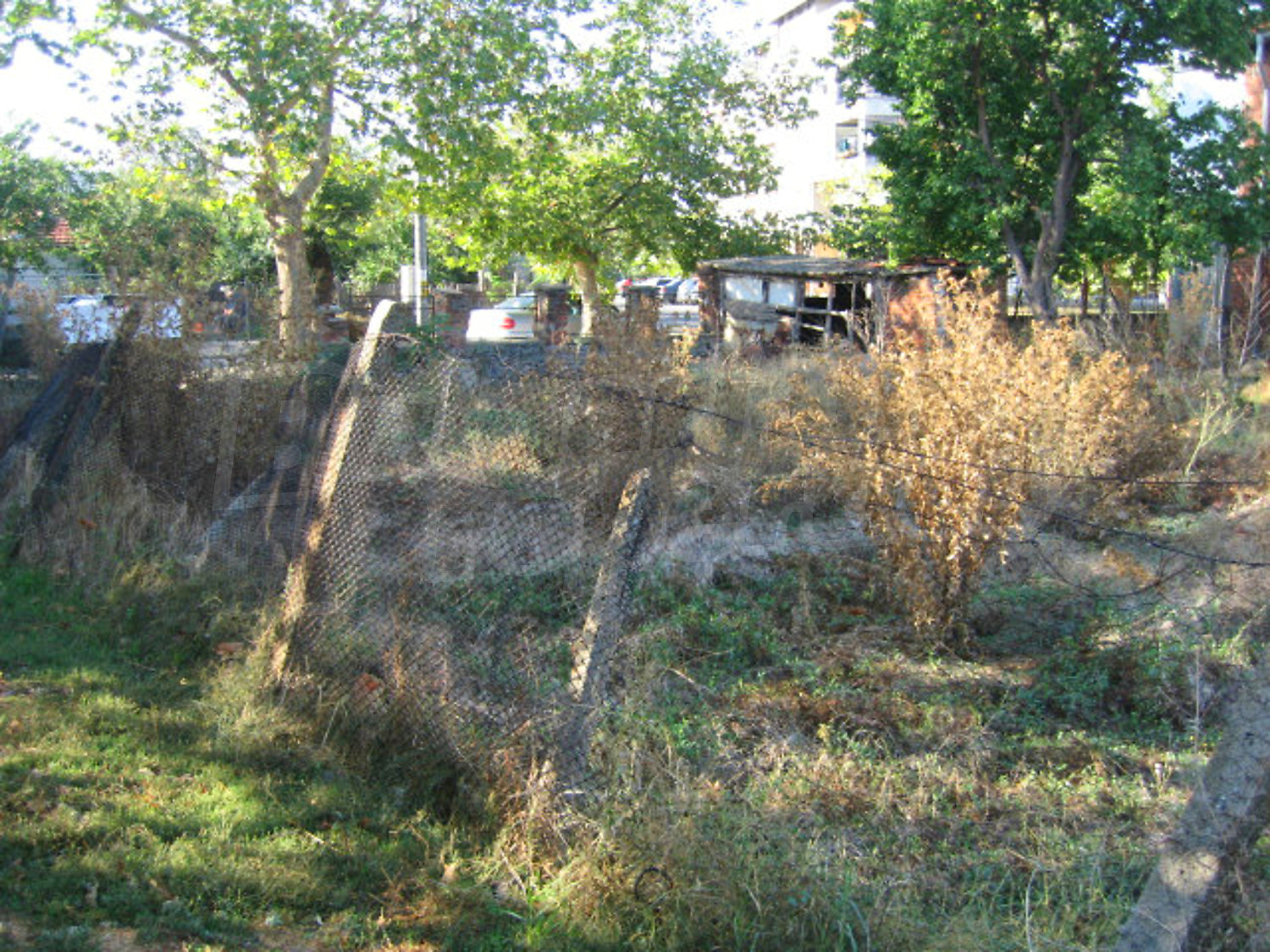 Gallery Picture 18
