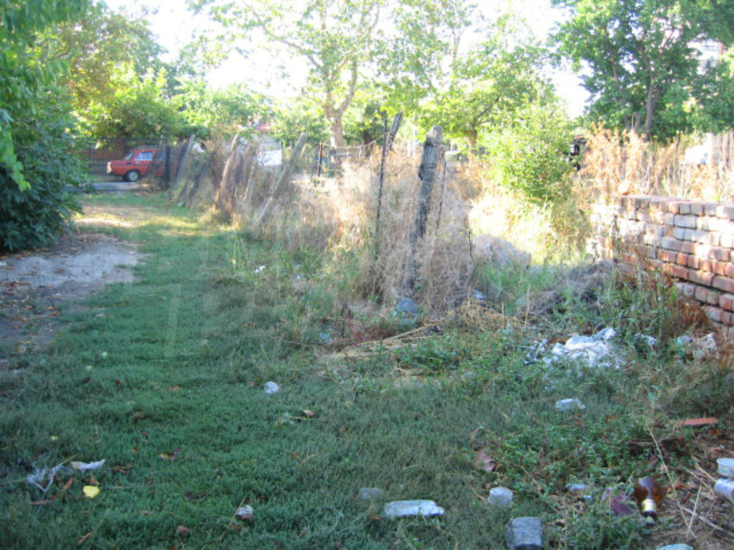 Gallery Picture 19
