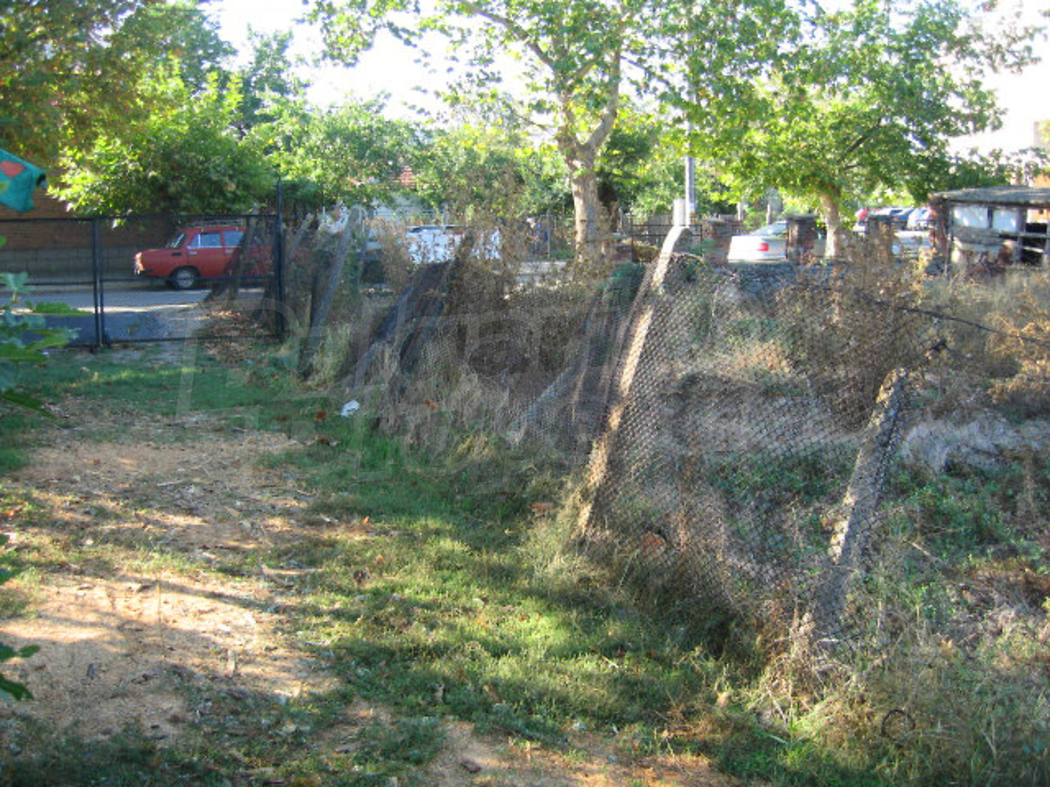 Gallery Picture 23