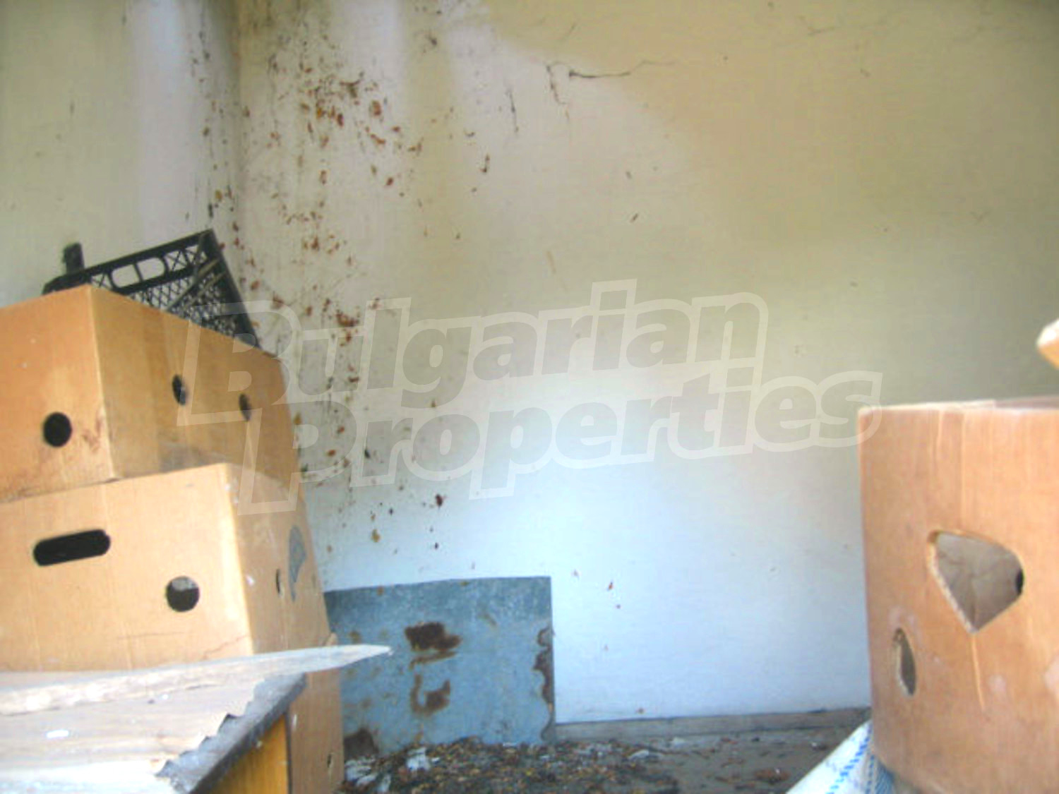 Gallery Picture 5