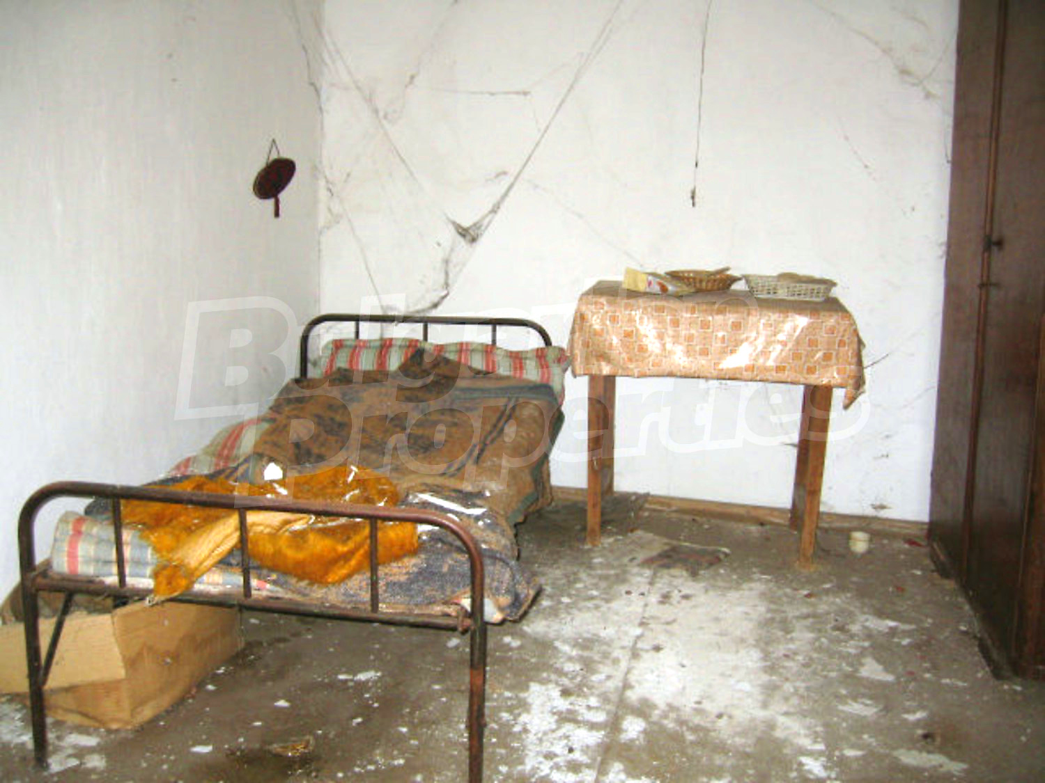 Gallery Picture 9