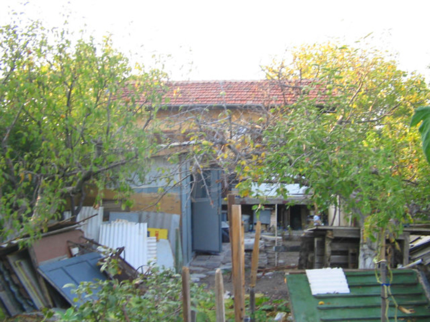 Gallery Picture 27