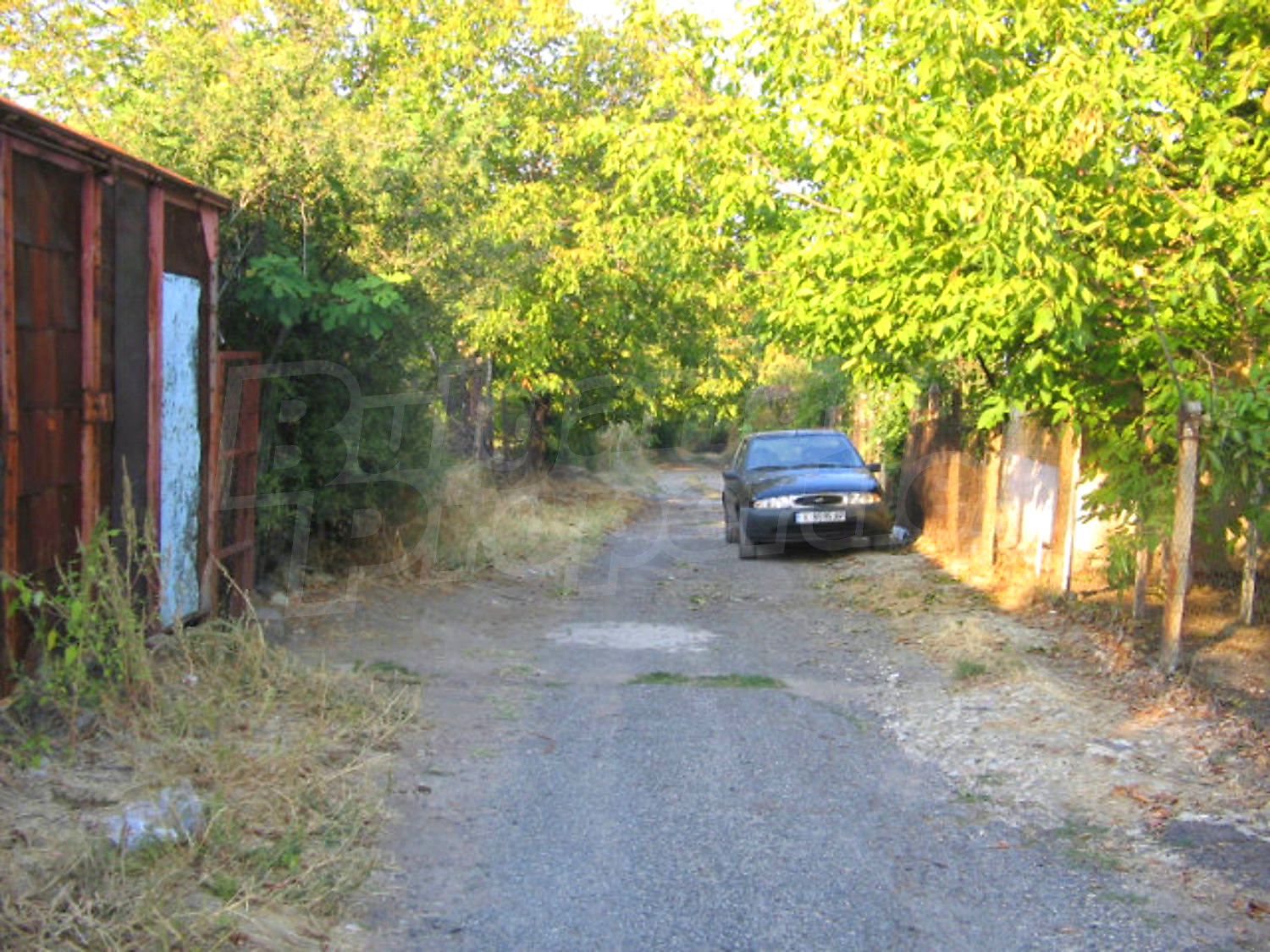 Gallery Picture 36