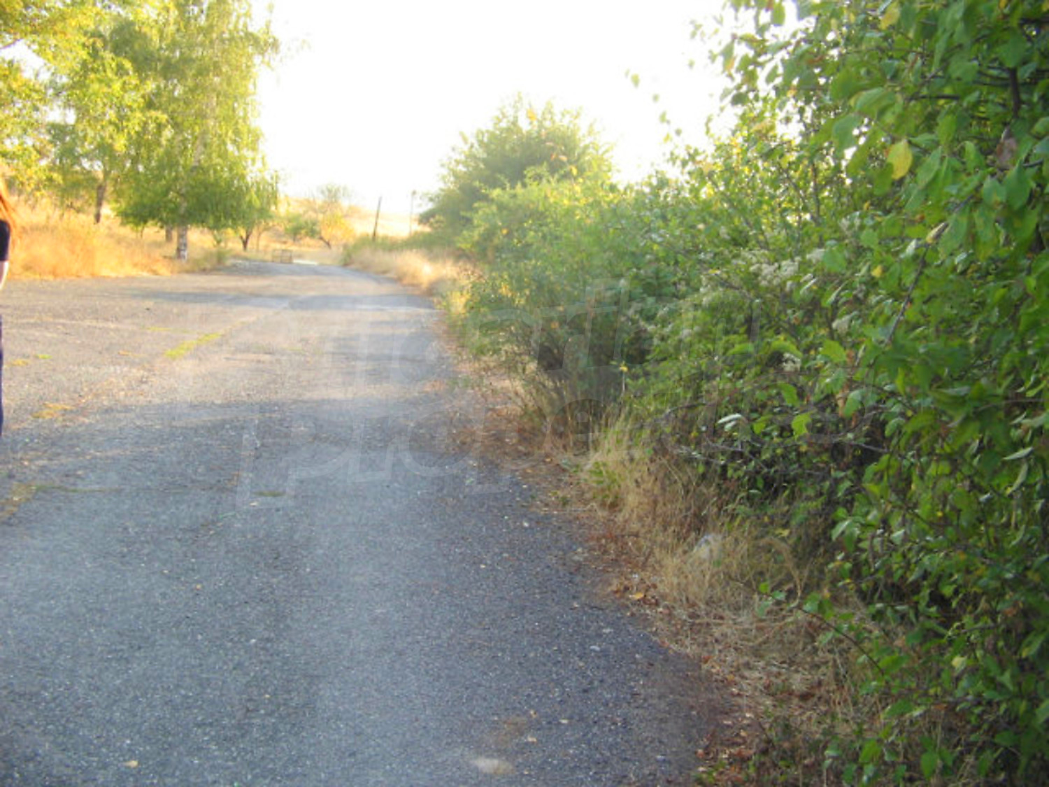 Gallery Picture 38
