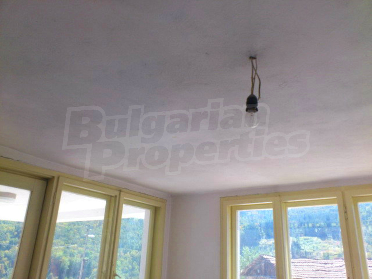 Gallery Picture 14