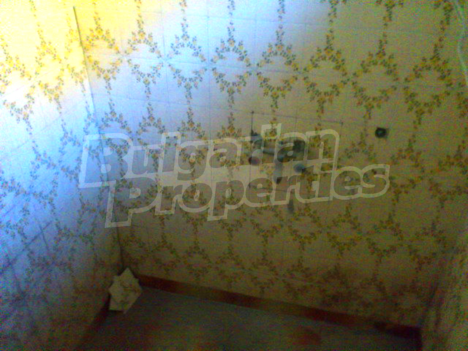 Gallery Picture 17