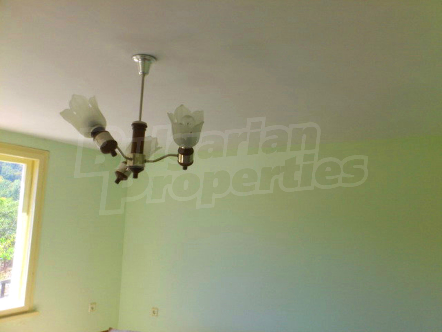 Gallery Picture 24