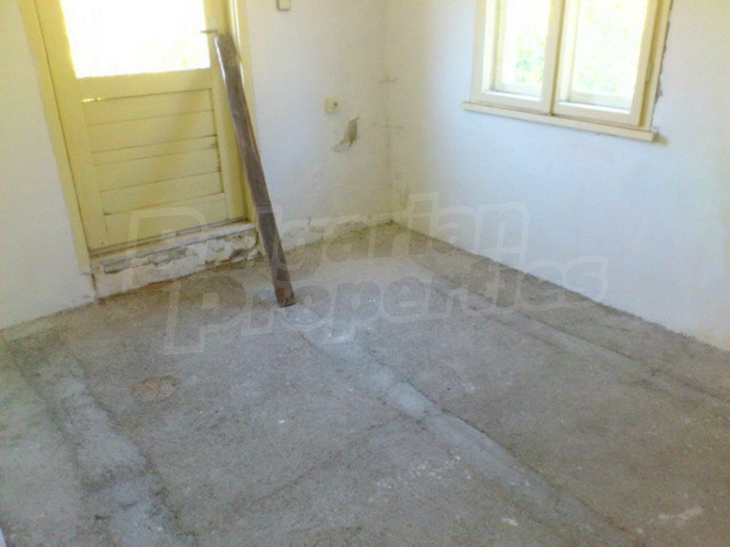 Gallery Picture 26