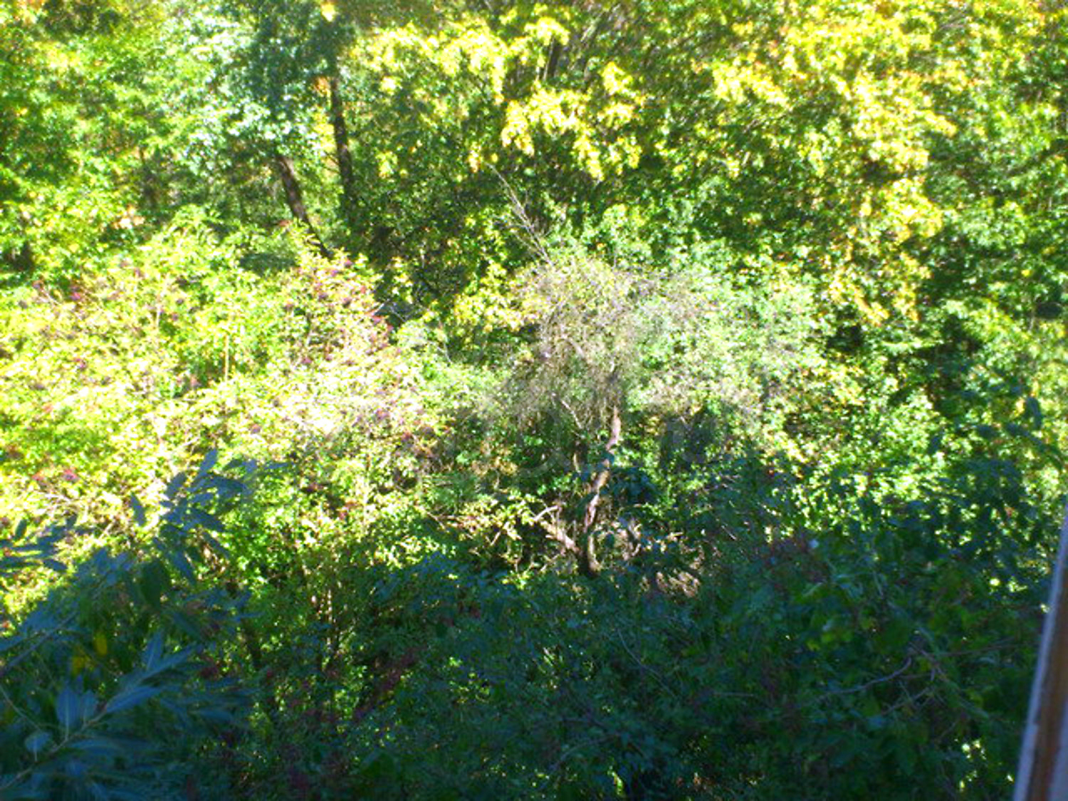 Gallery Picture 32
