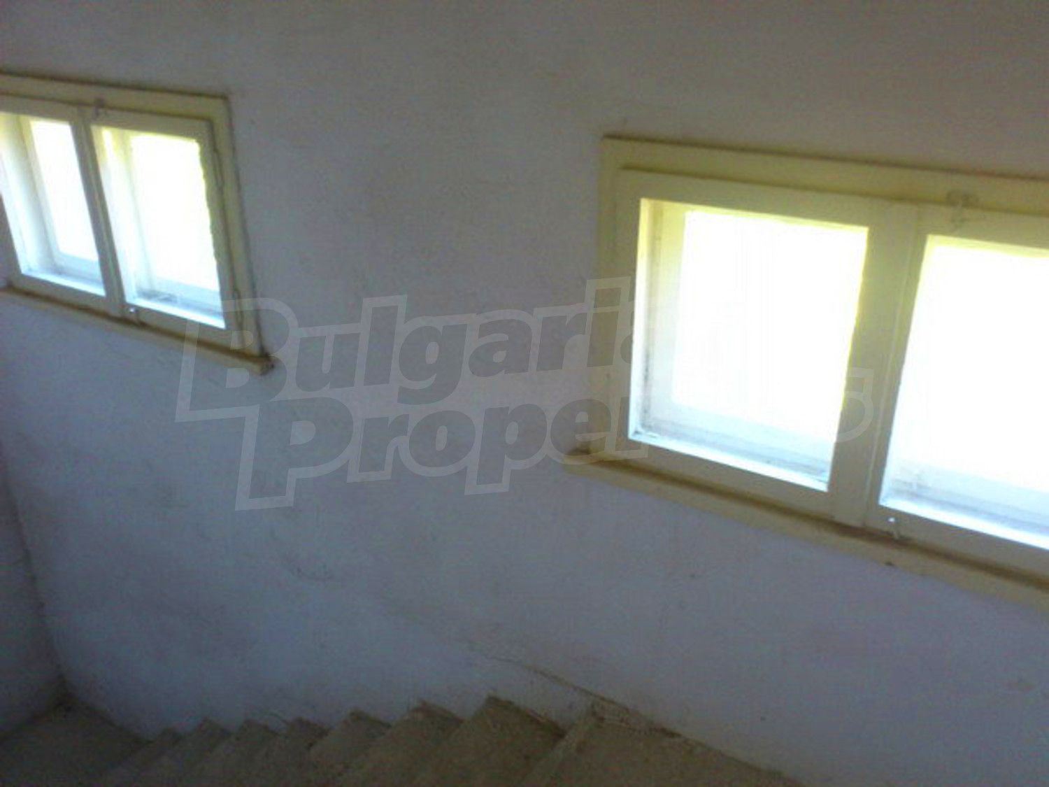 Gallery Picture 35